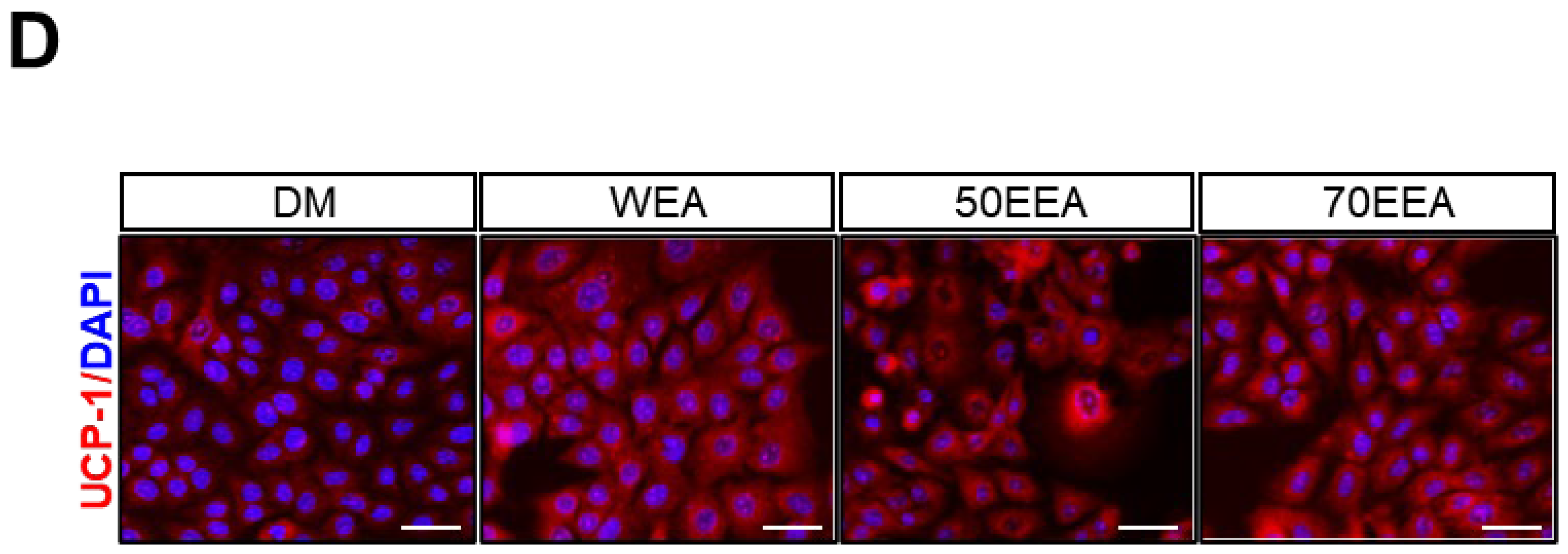 Foods 14 02816 i001 Foods 14 02816 i001