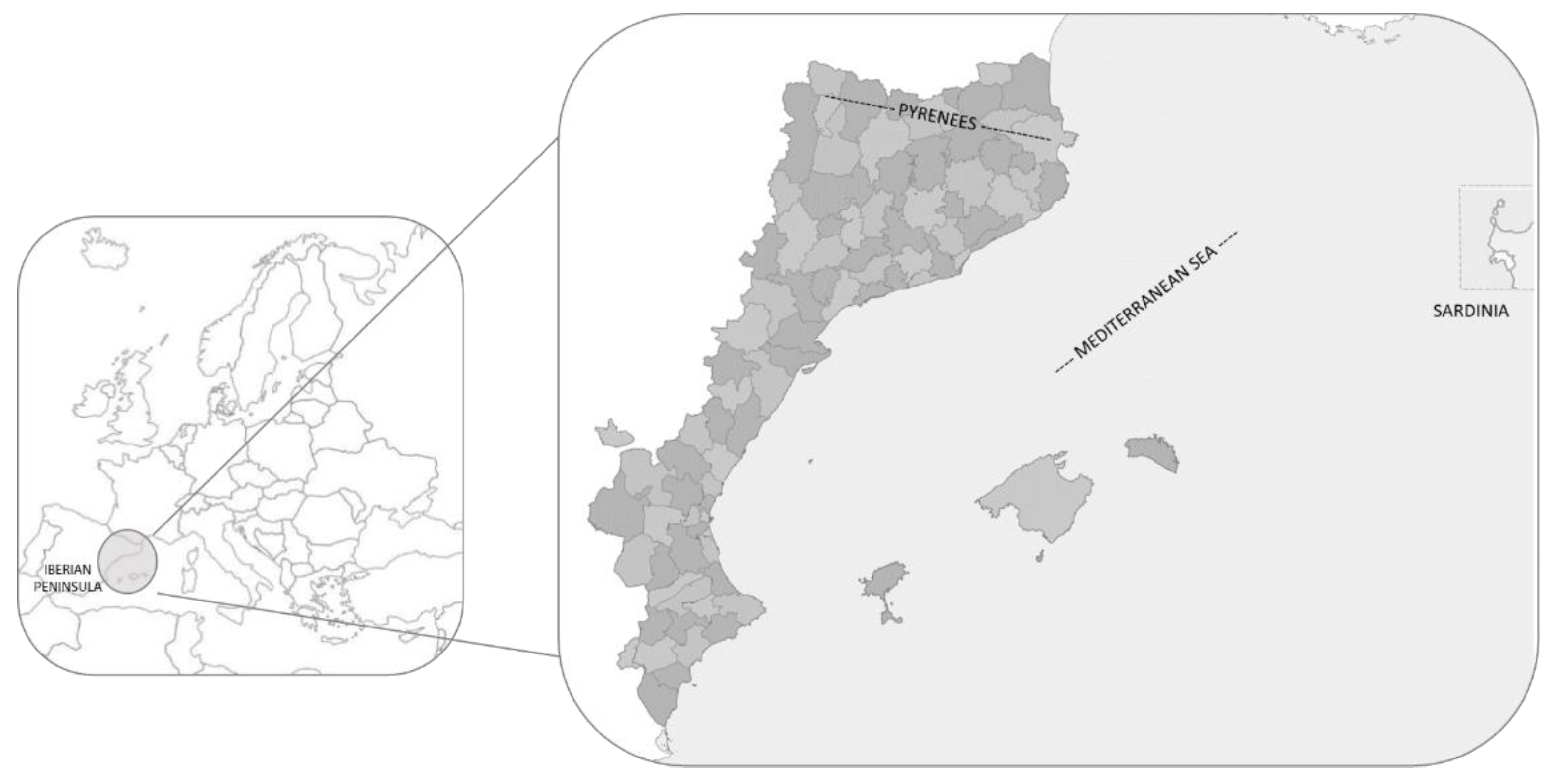 Foods 14 02897 g001 Foods 14 02897 g001