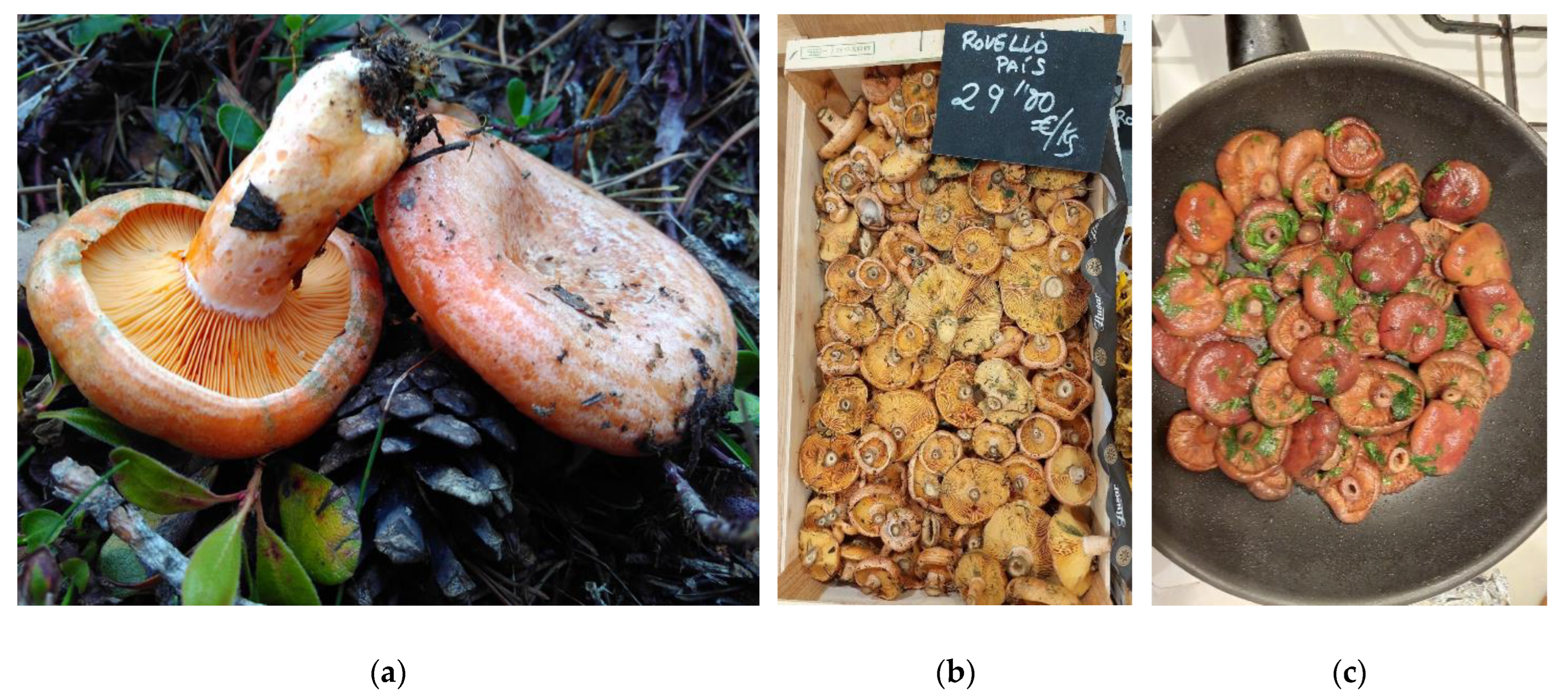 Foods 14 02897 g005 Foods 14 02897 g005