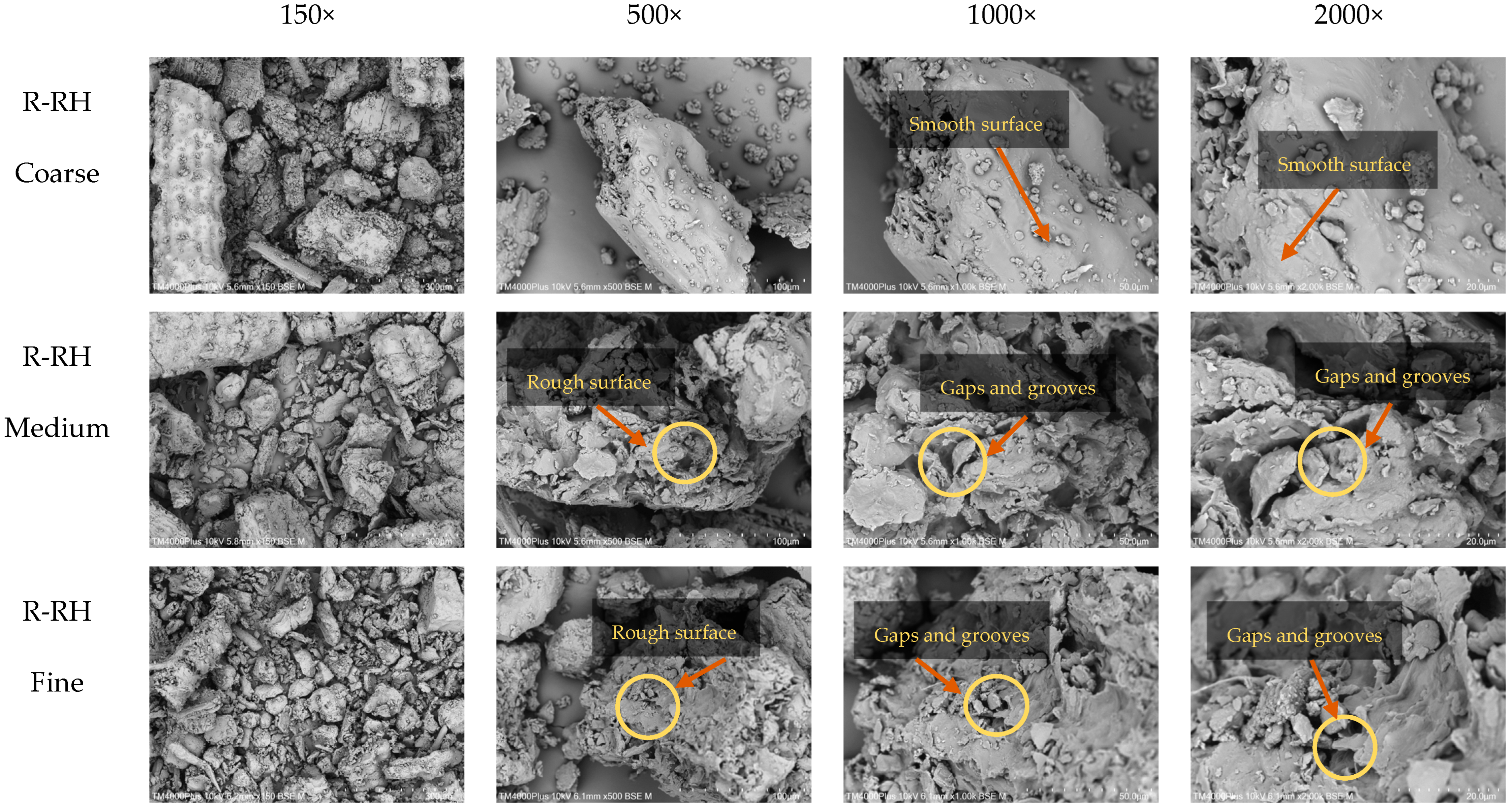 Foods 14 03094 g003a