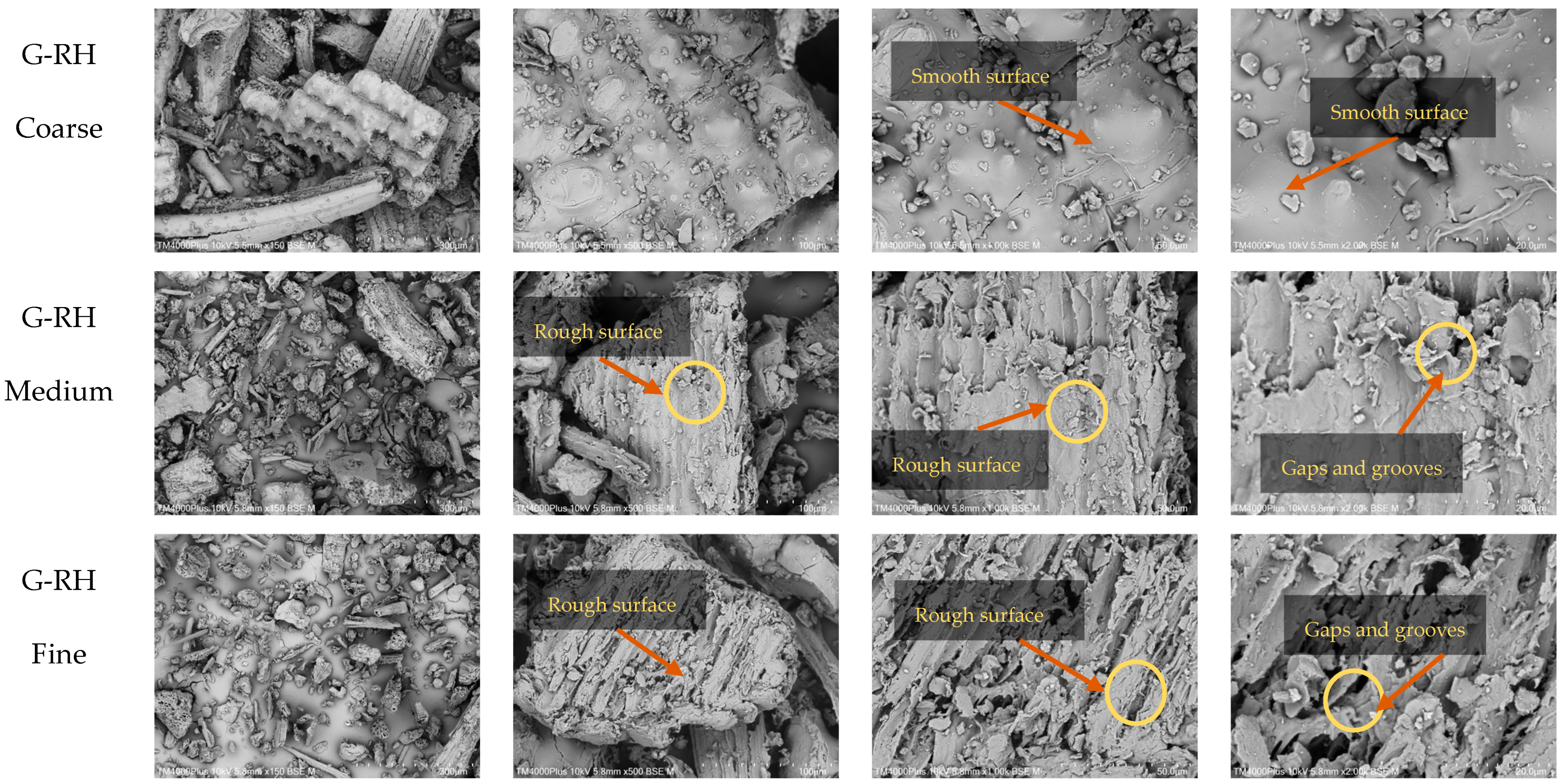 Foods 14 03094 g003b