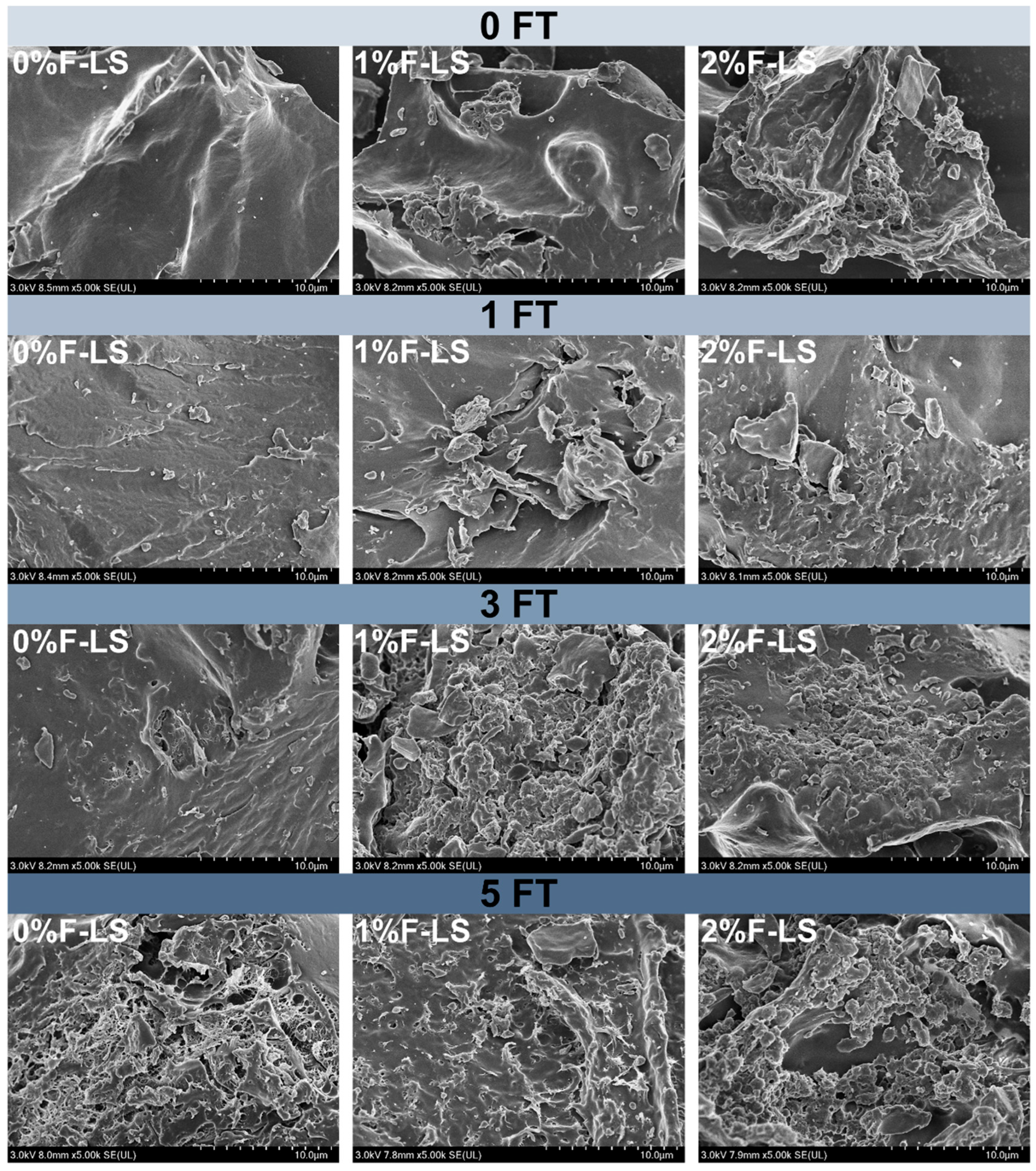 Foods 14 03177 g001 Foods 14 03177 g001