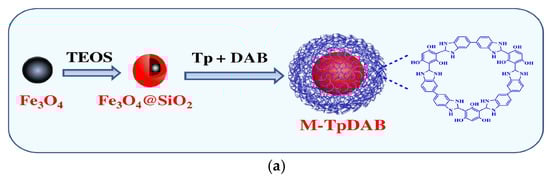 Foods 14 03305 g008a