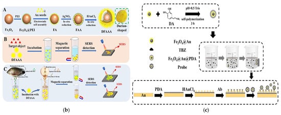 Foods 14 03305 g008b