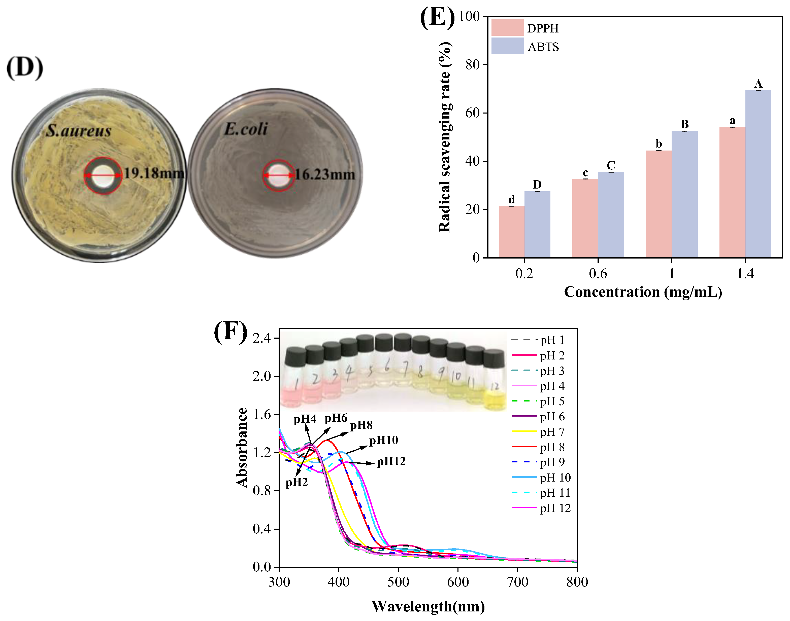 Foods 14 03320 g001b Foods 14 03320 g001b