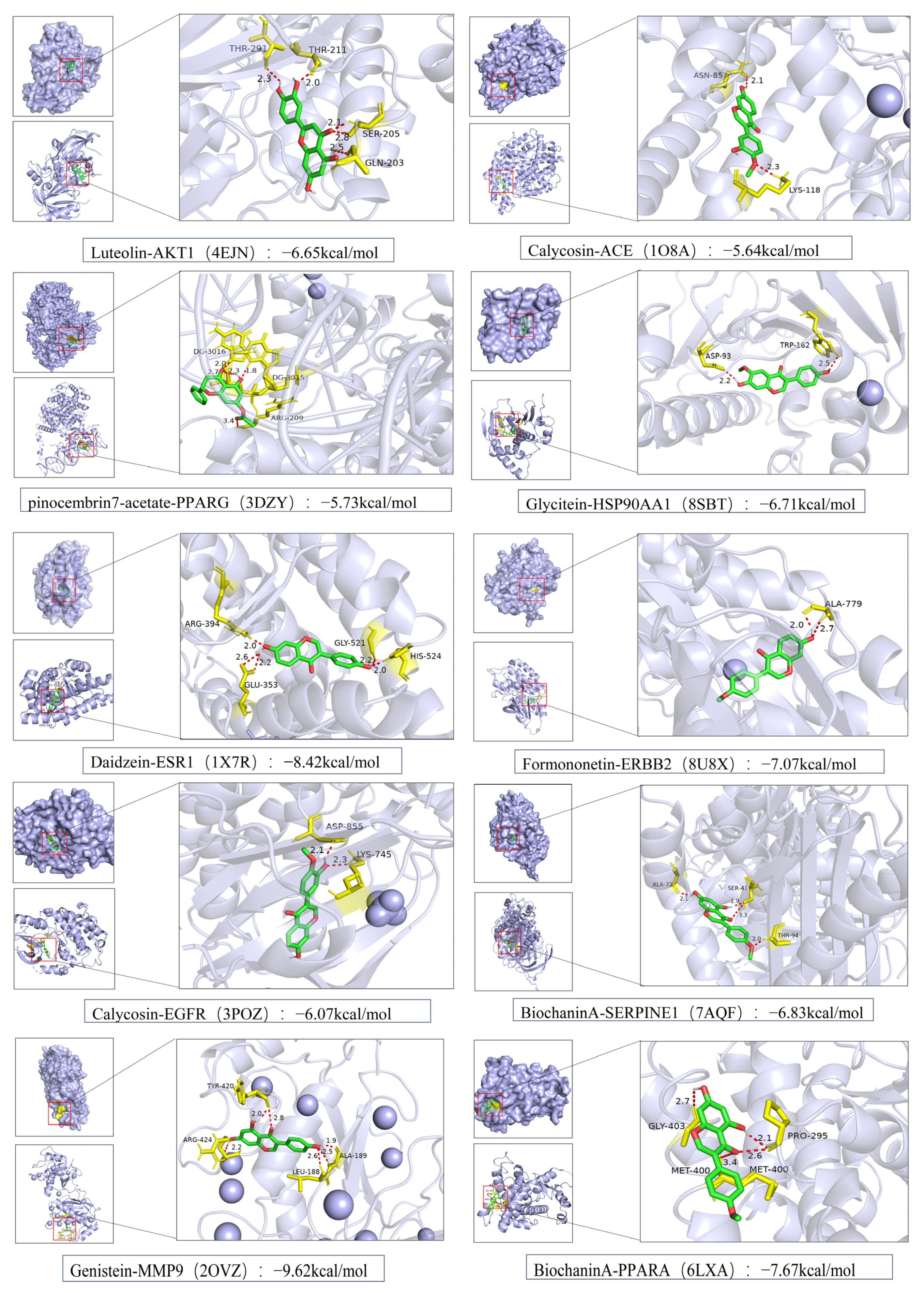 Foods 14 03425 g008 Foods 14 03425 g008
