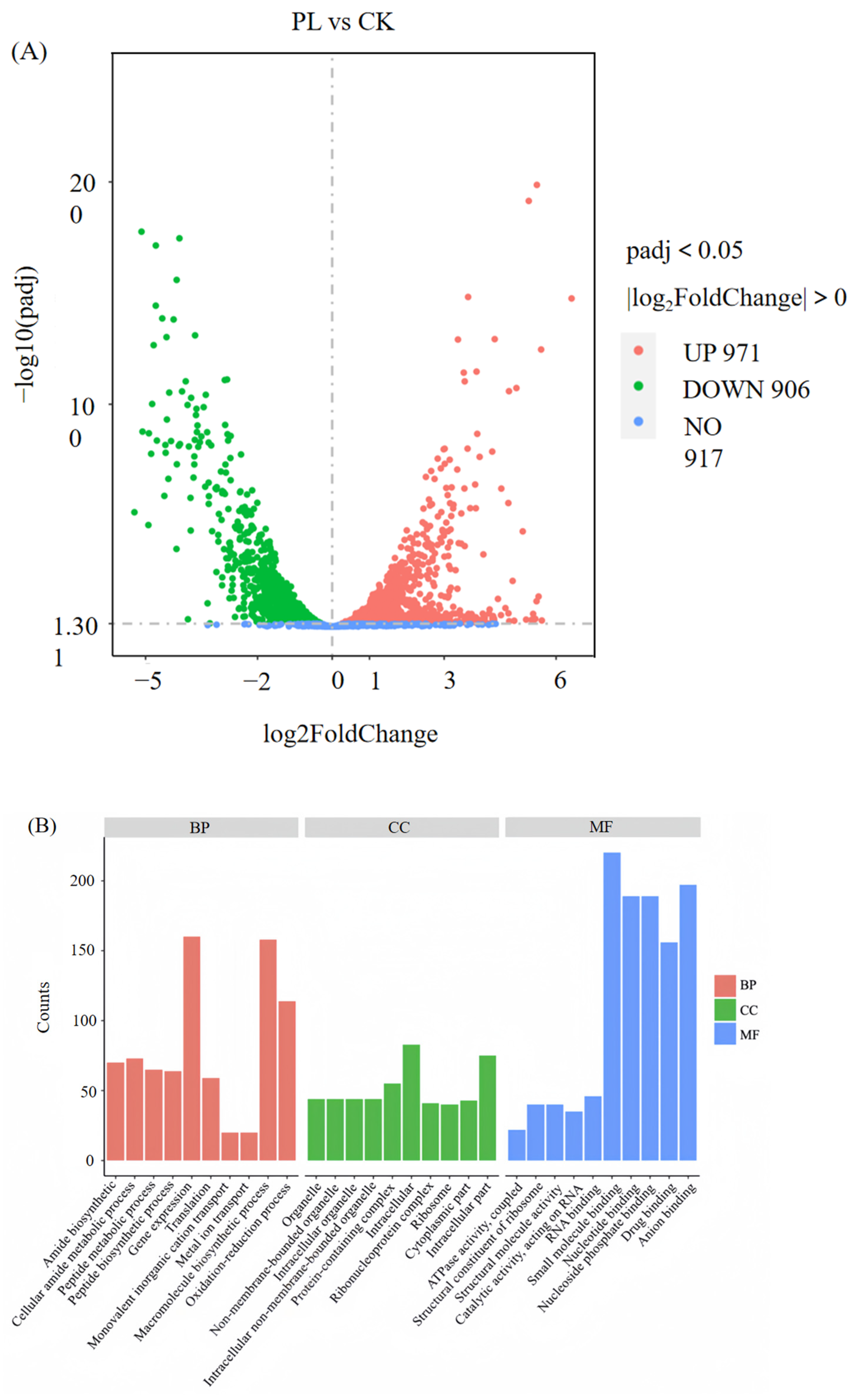 Foods 14 03589 g007a