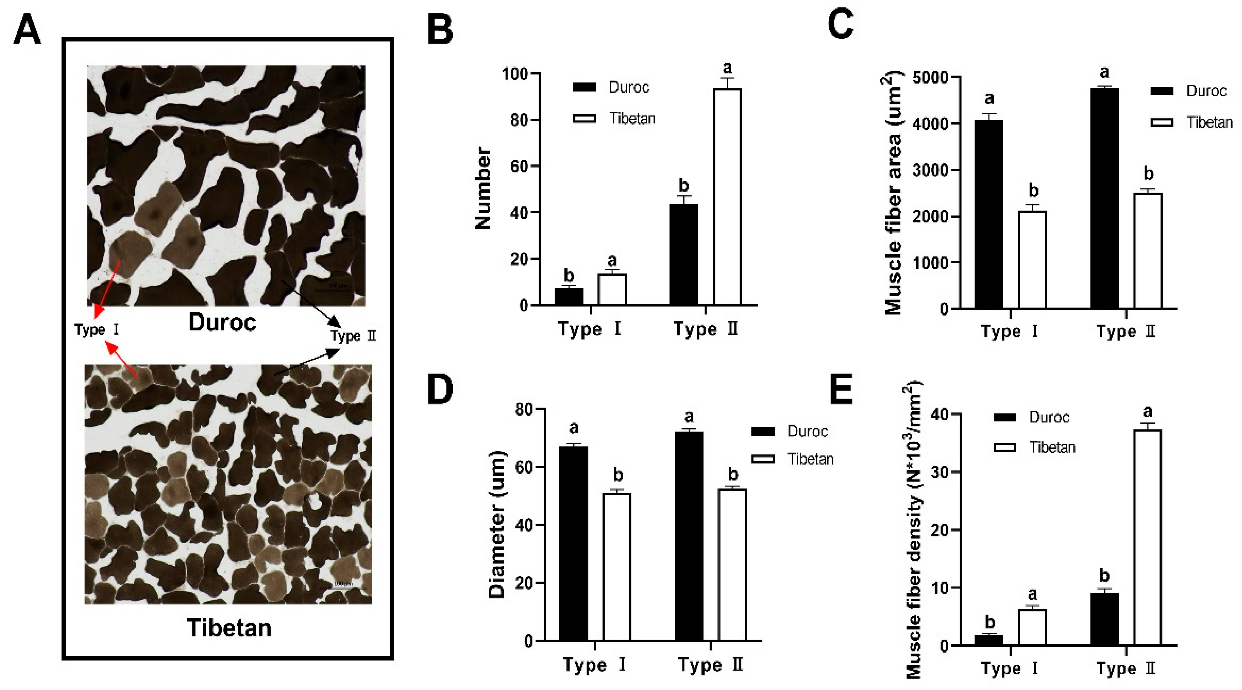 Foods 14 03591 g001 Foods 14 03591 g001