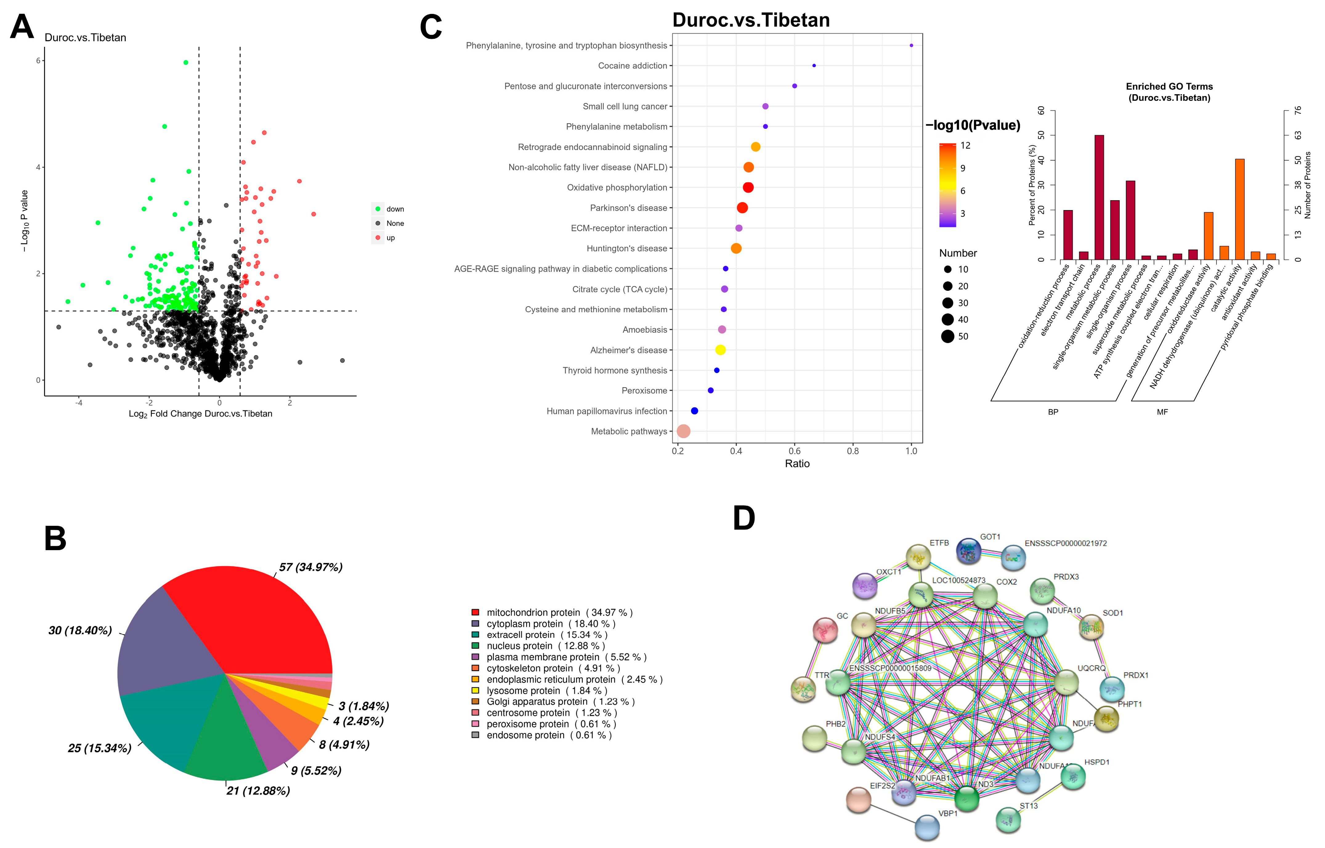 Foods 14 03591 g002 Foods 14 03591 g002