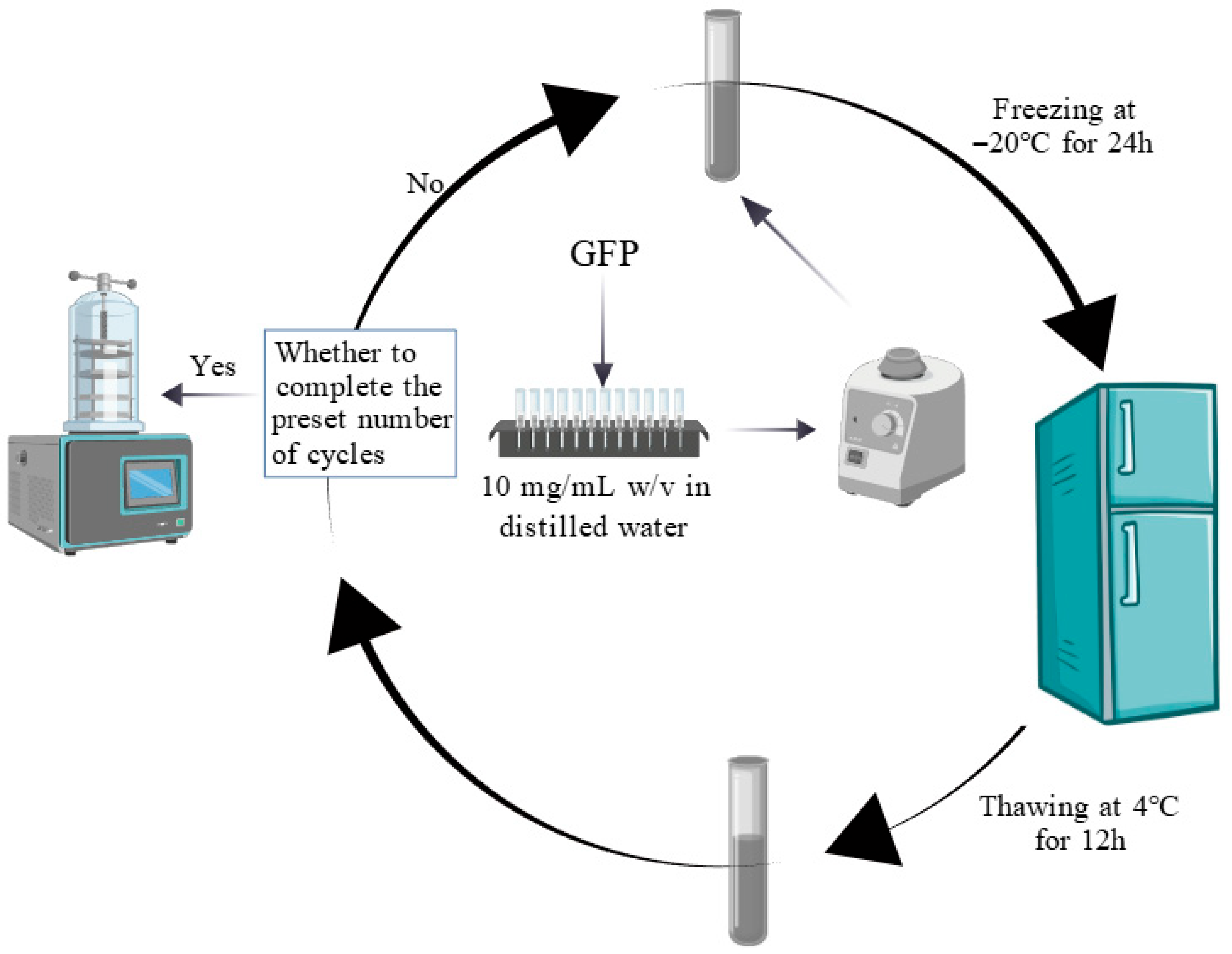 Foods 14 03608 g001 Foods 14 03608 g001