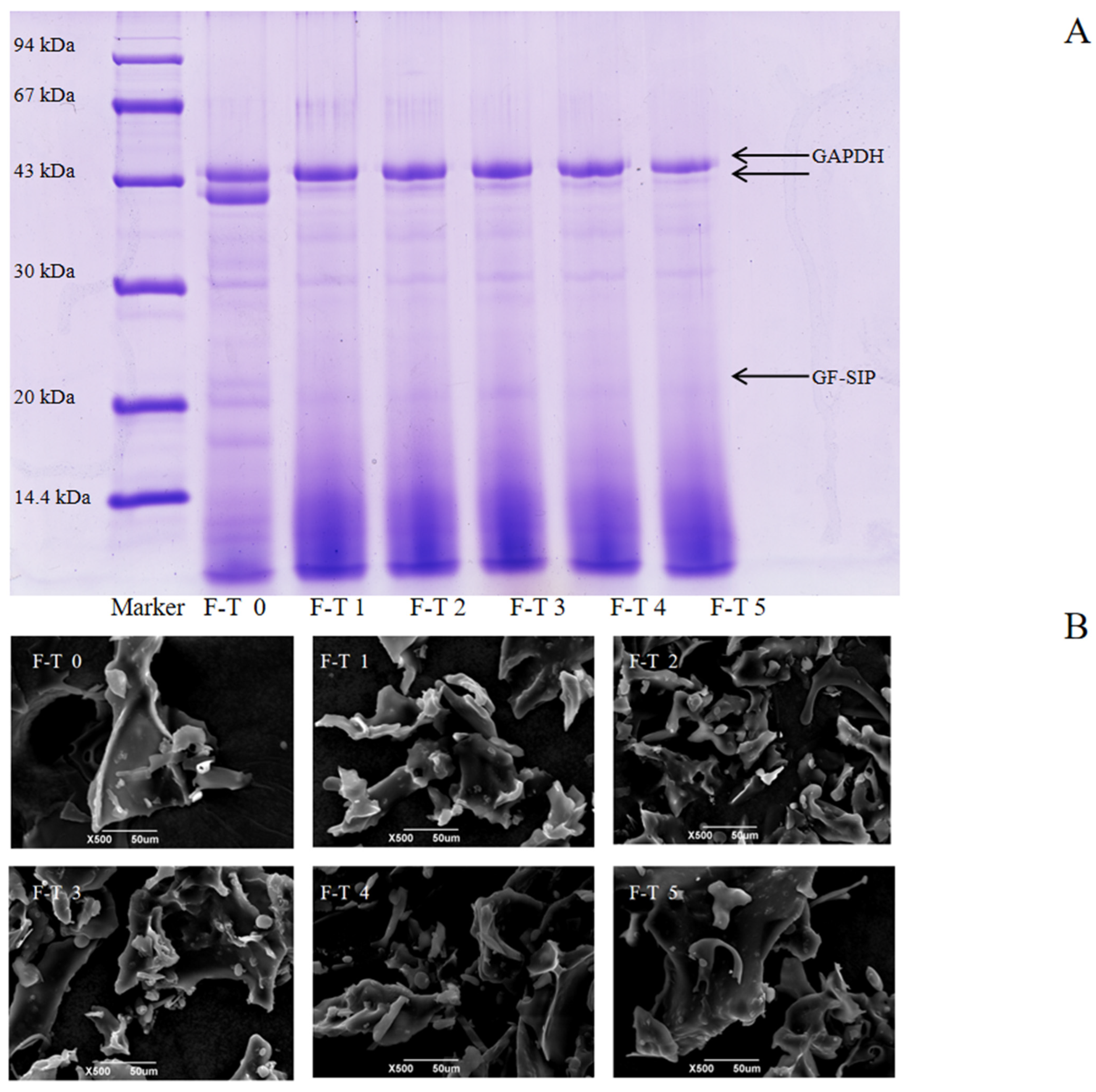Foods 14 03608 g005 Foods 14 03608 g005