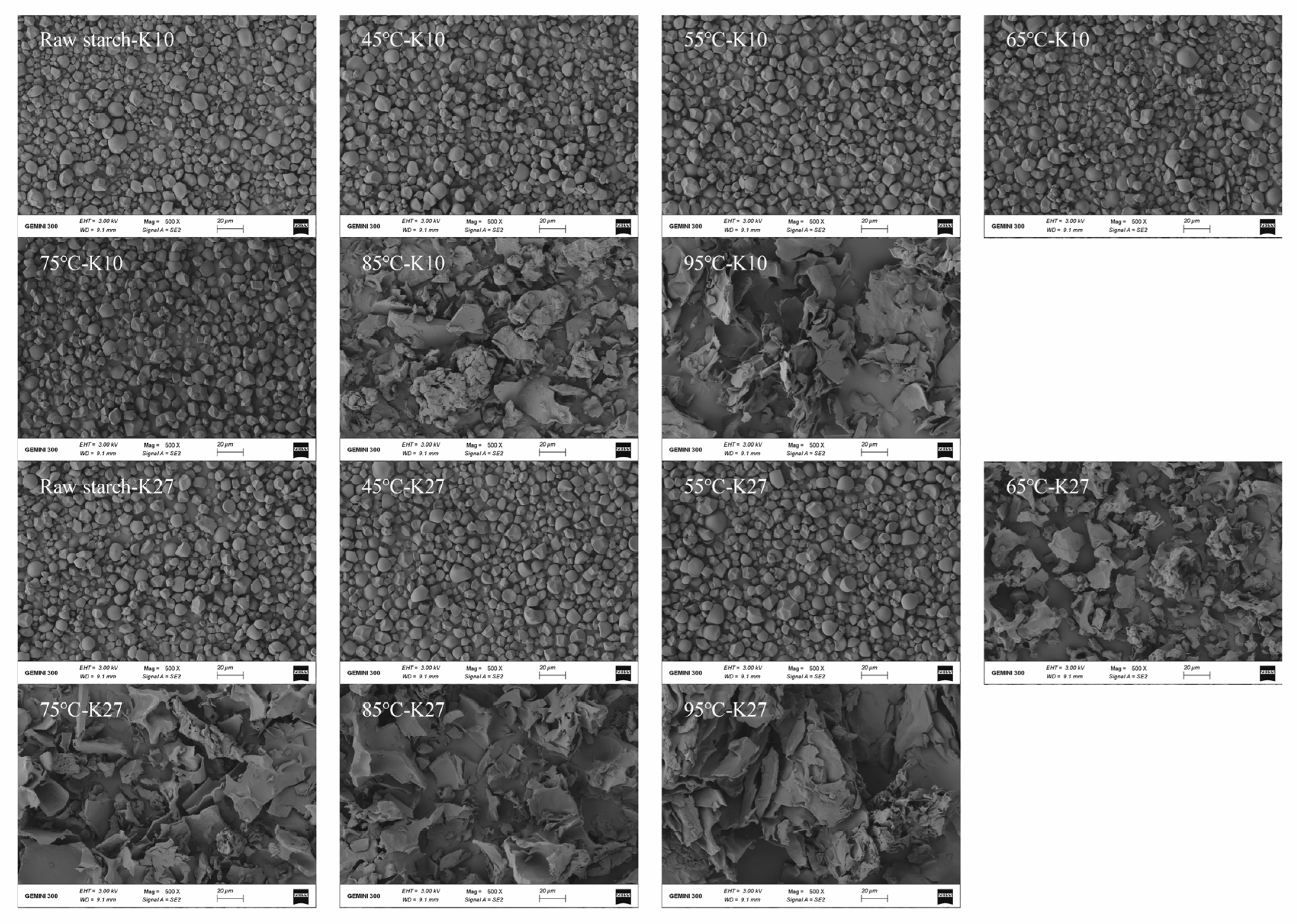 Foods 14 03614 g004 Foods 14 03614 g004