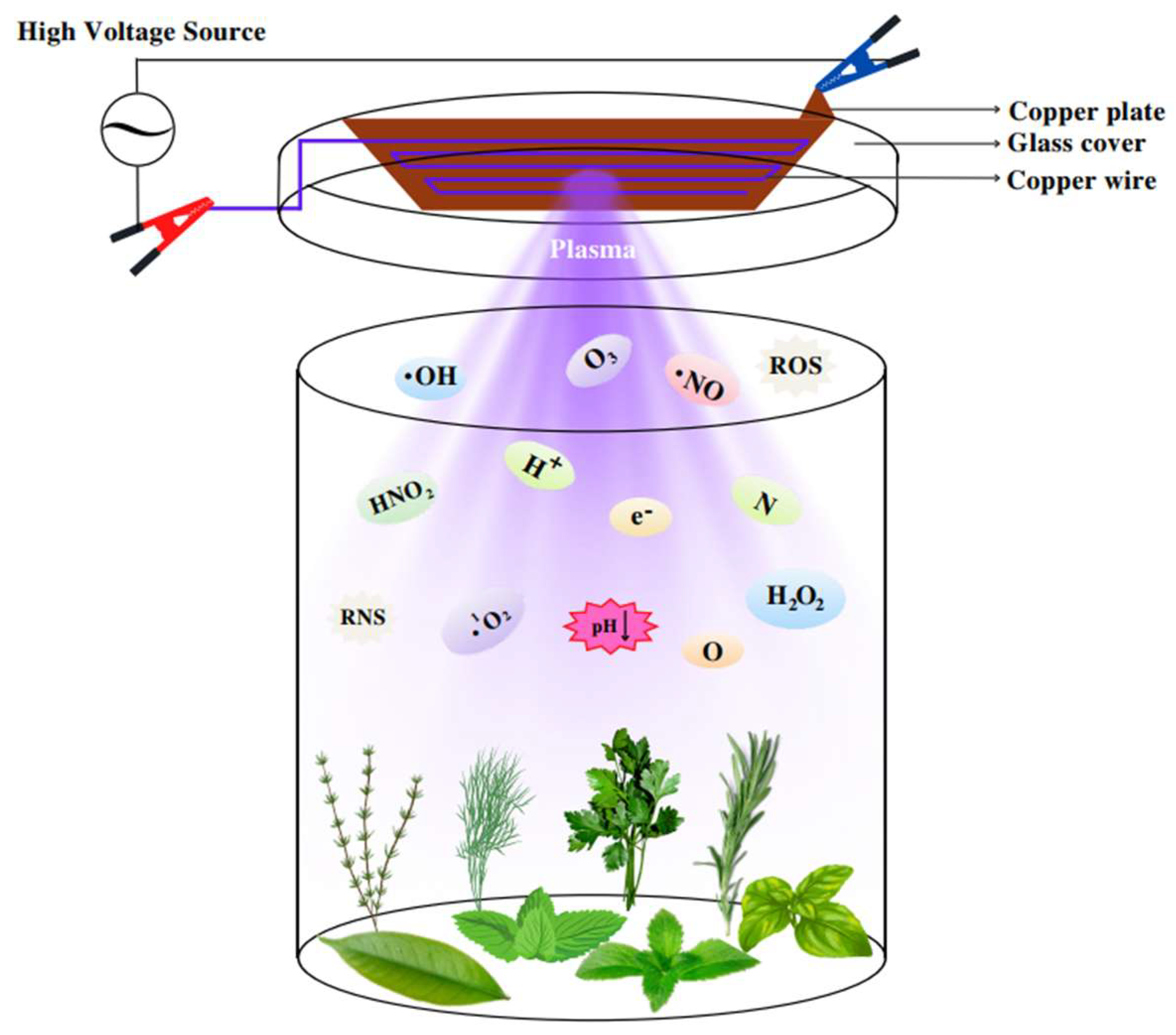 Foods 14 03617 g001 Foods 14 03617 g001