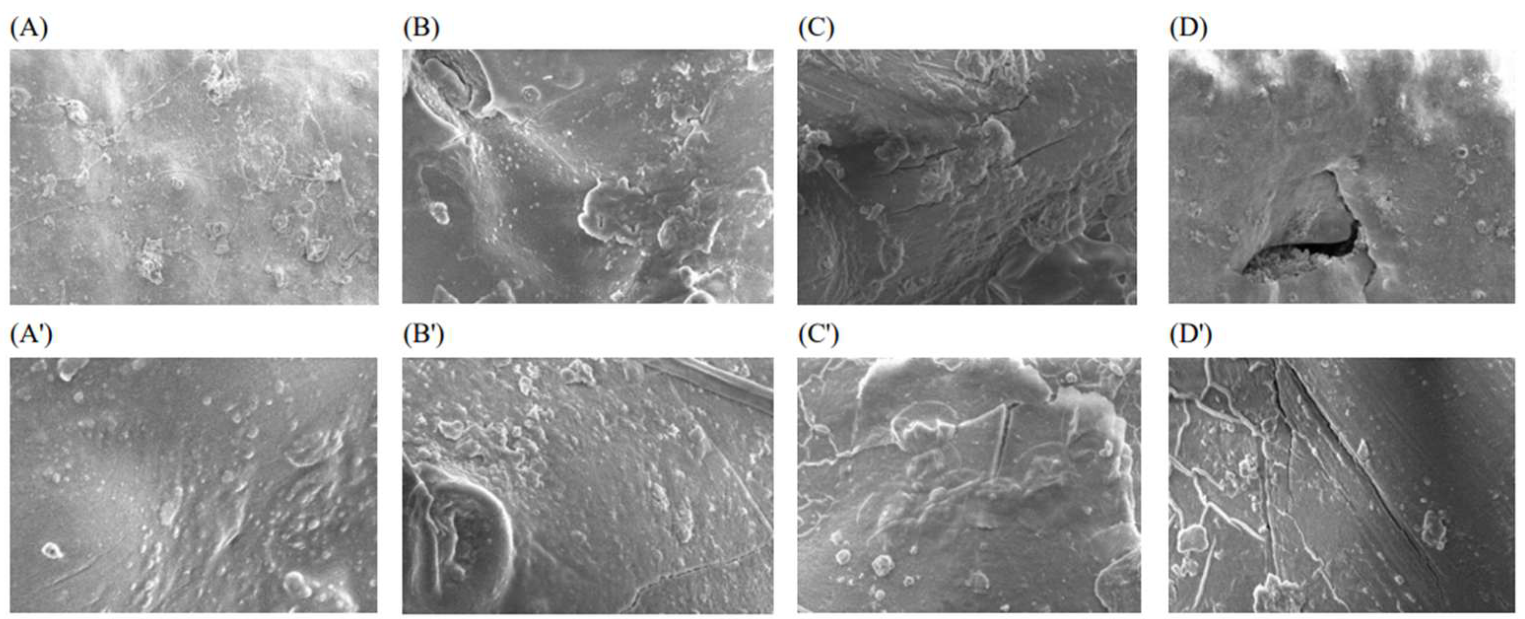 Foods 14 03617 g007 Foods 14 03617 g007