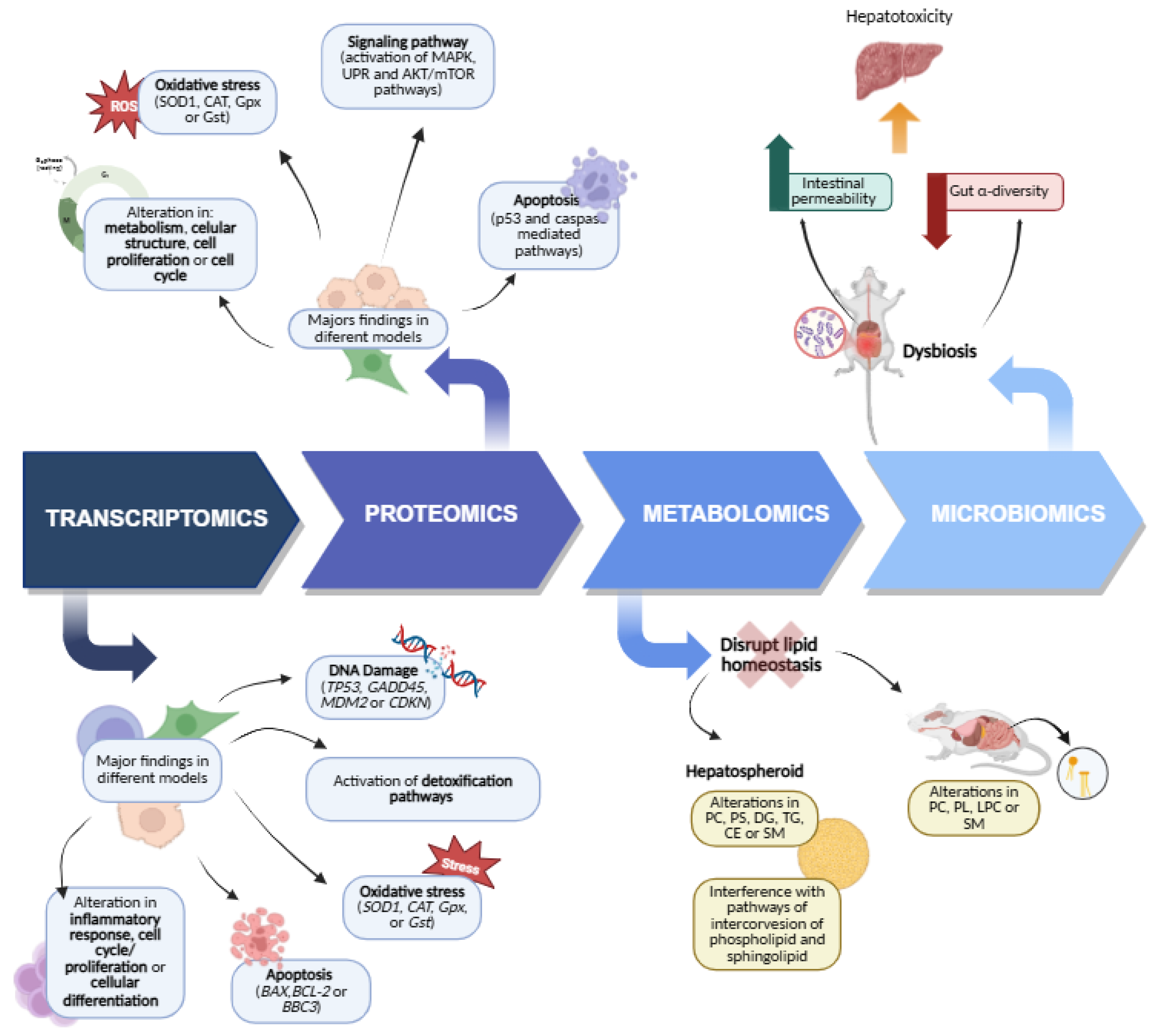 Foods 14 03620 g002 Foods 14 03620 g002