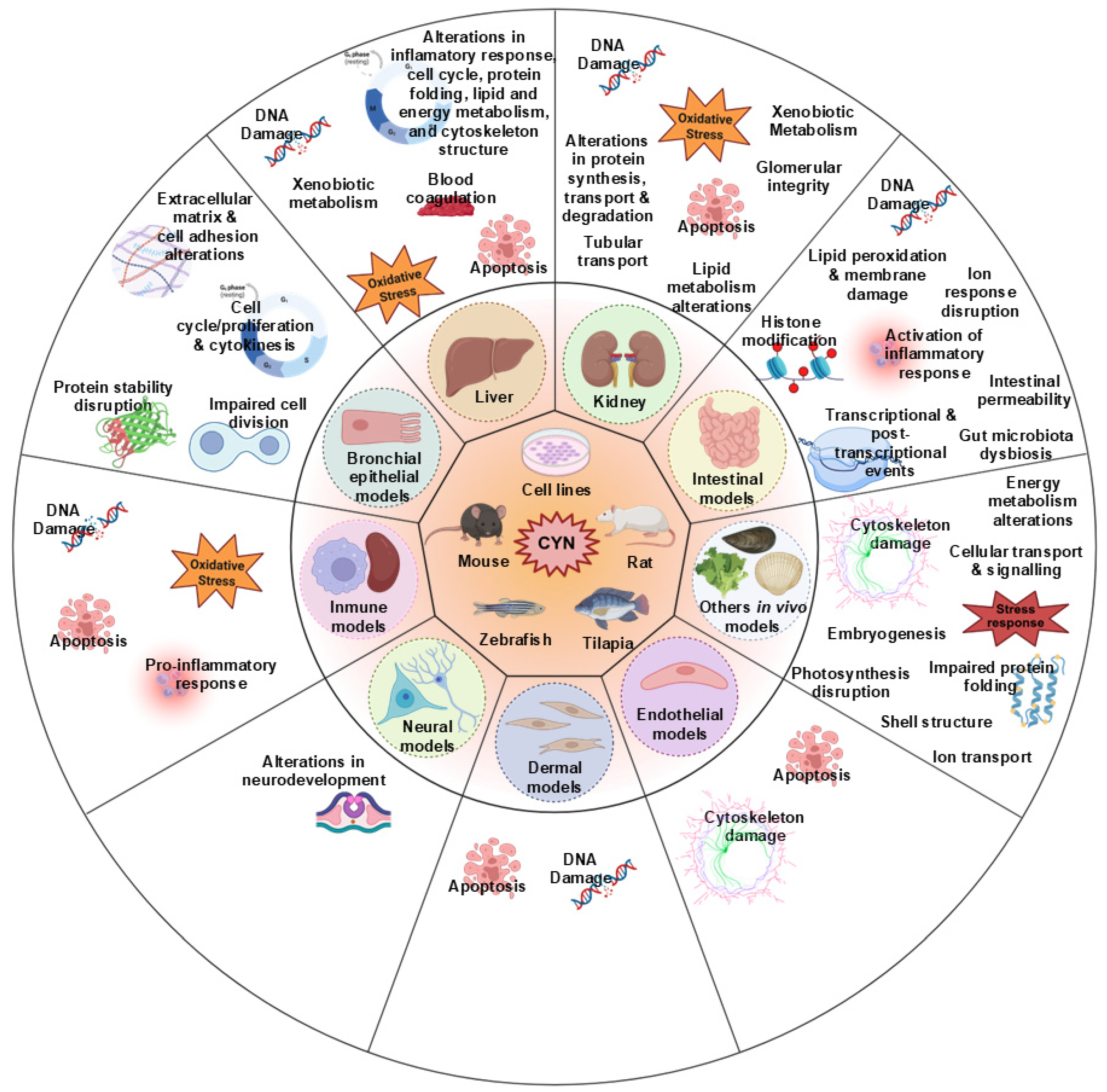 Foods 14 03620 g003 Foods 14 03620 g003