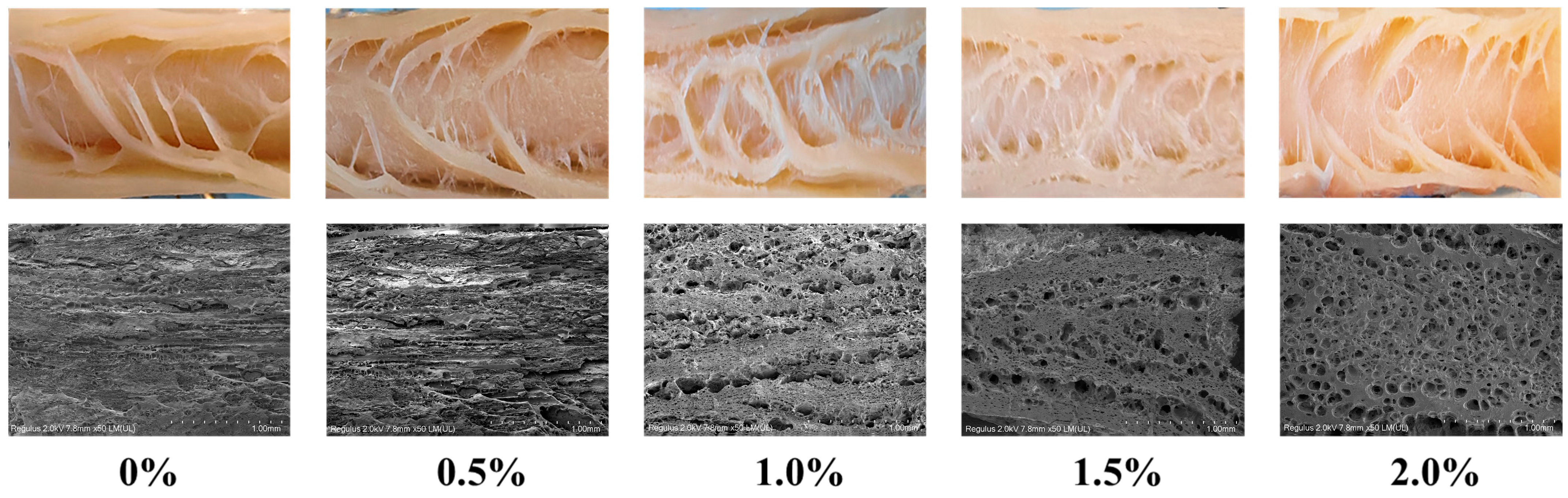 Foods 14 03627 g004 Foods 14 03627 g004