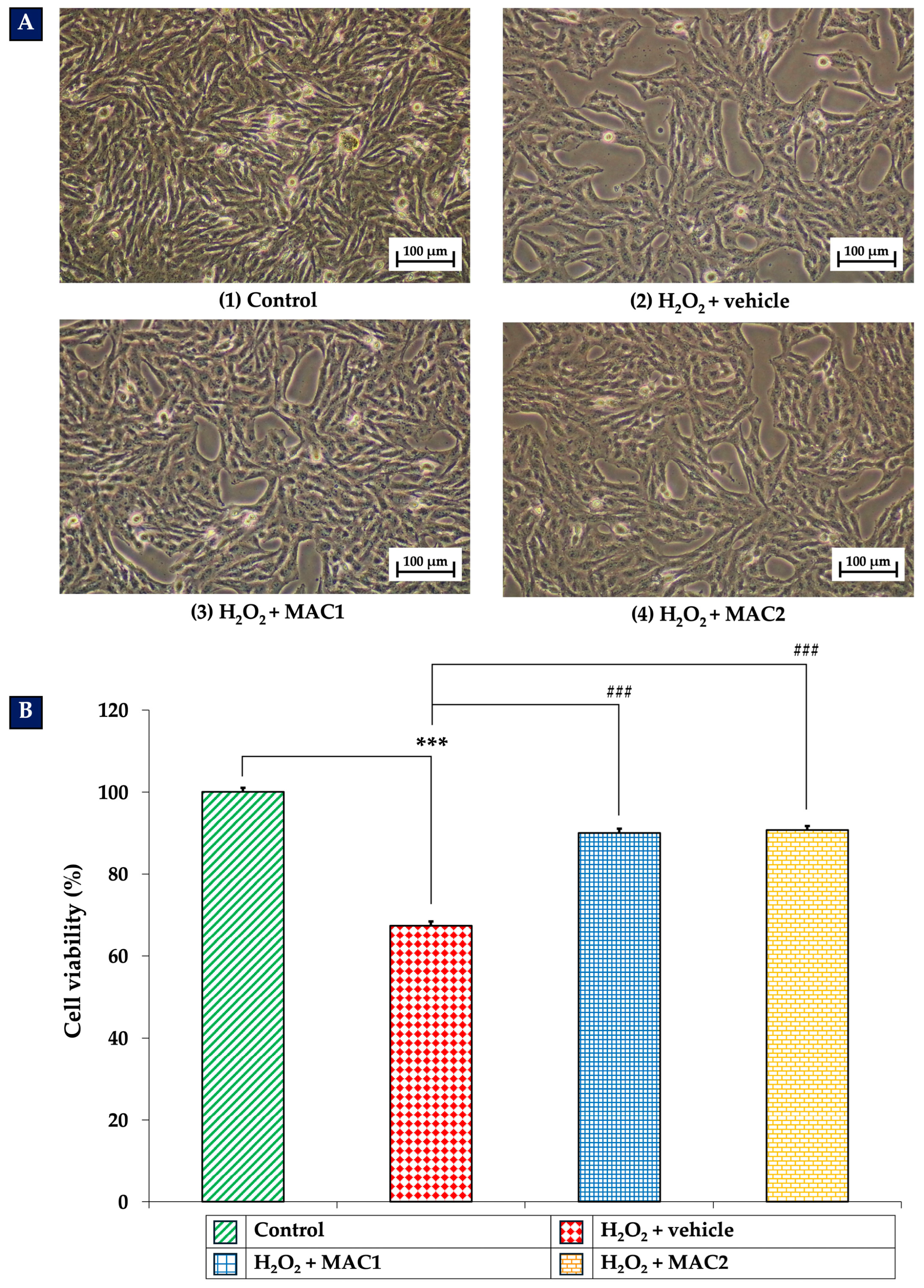 Foods 14 03630 g005 Foods 14 03630 g005