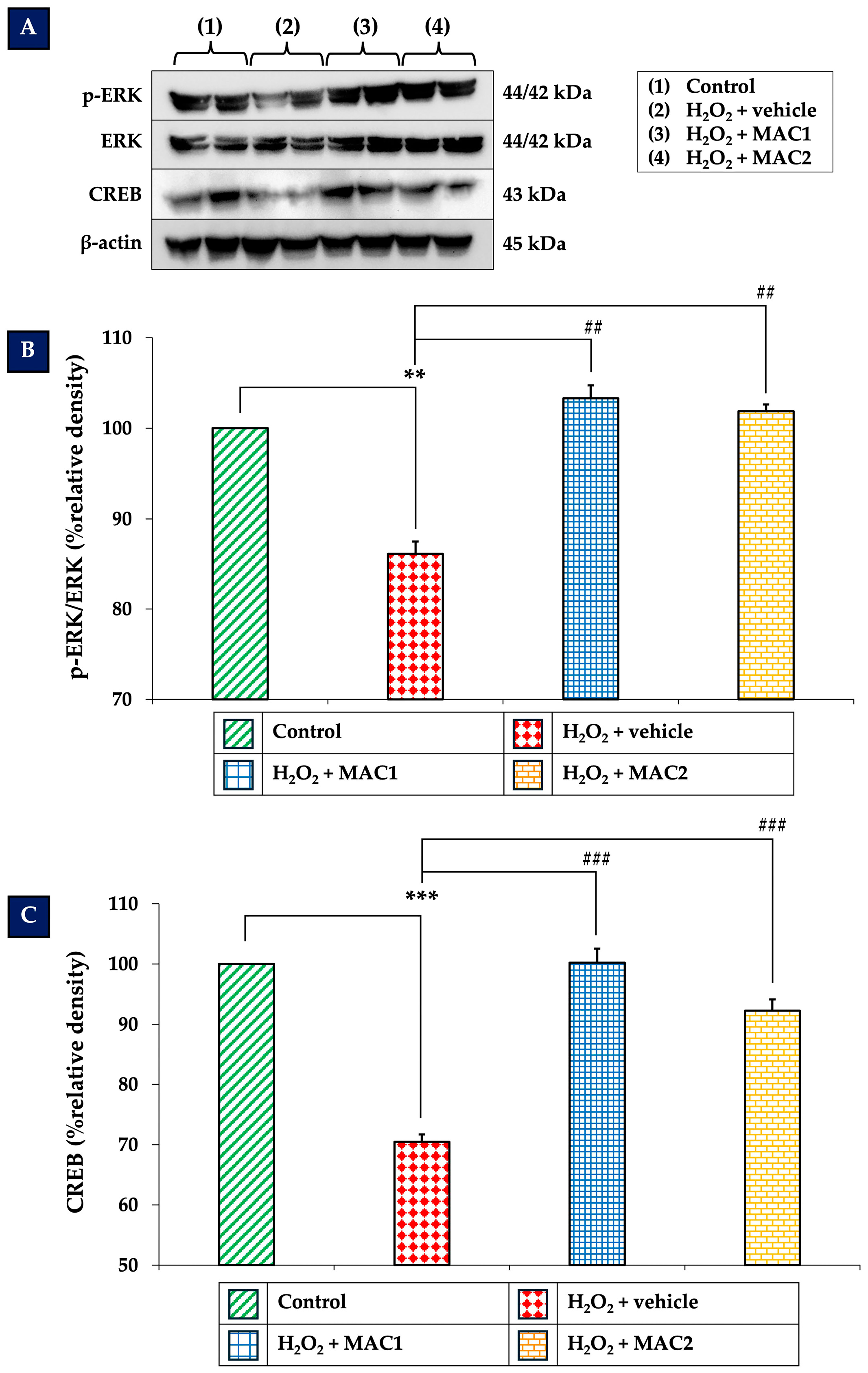Foods 14 03630 g006 Foods 14 03630 g006