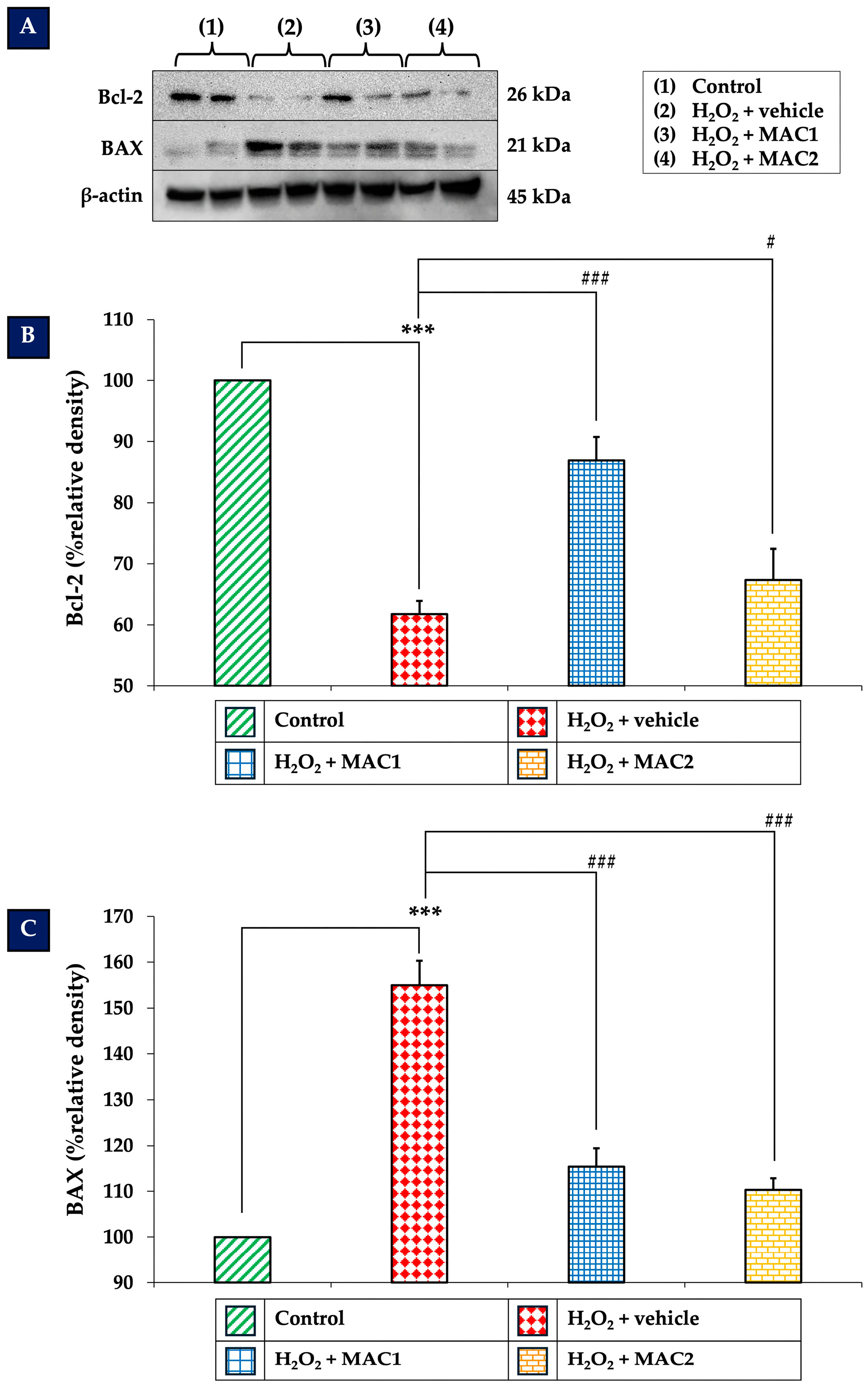 Foods 14 03630 g007 Foods 14 03630 g007
