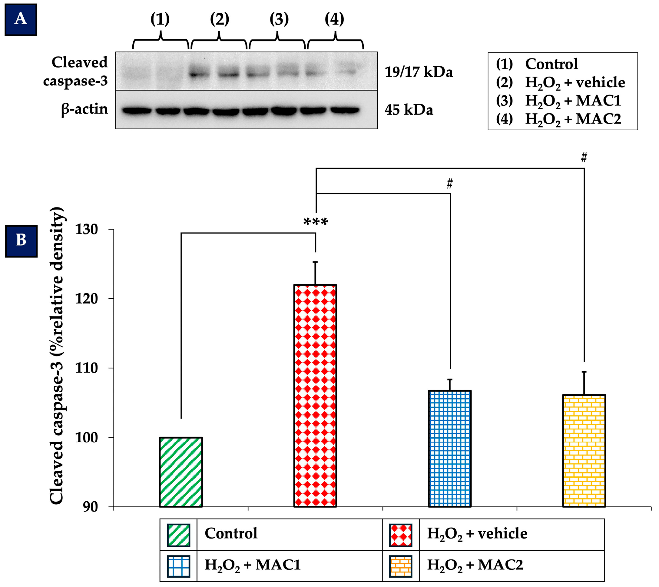 Foods 14 03630 g009 Foods 14 03630 g009