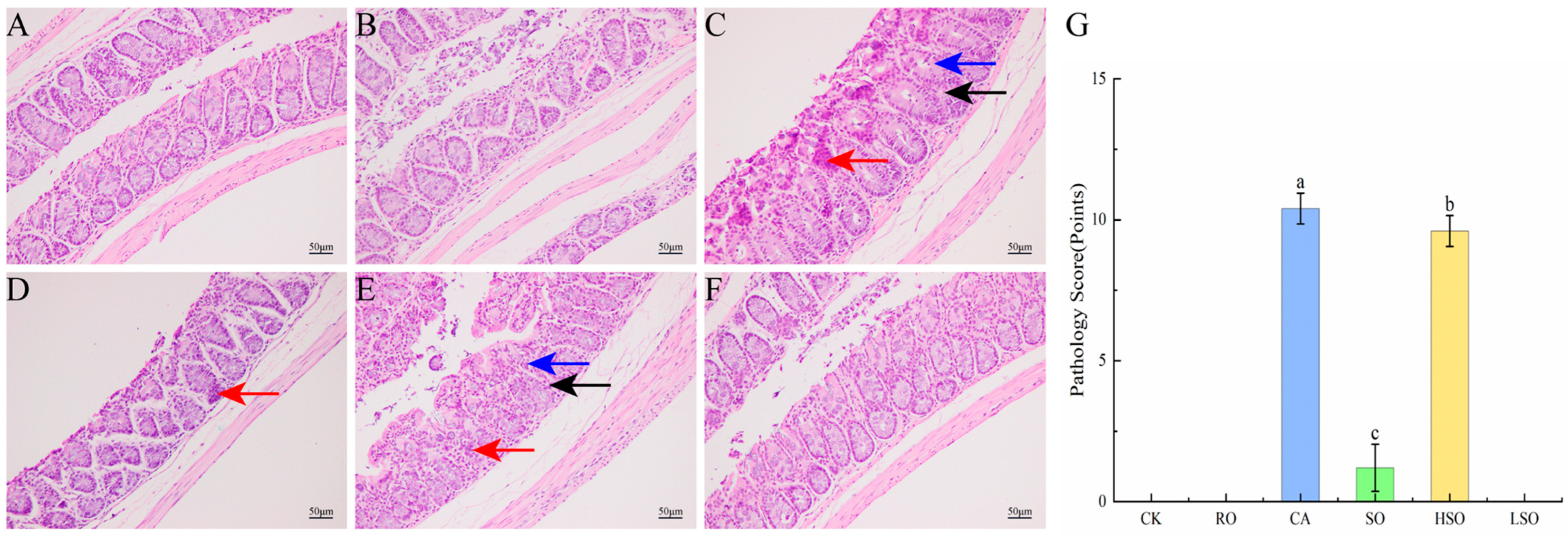 Foods 14 03641 g005 Foods 14 03641 g005