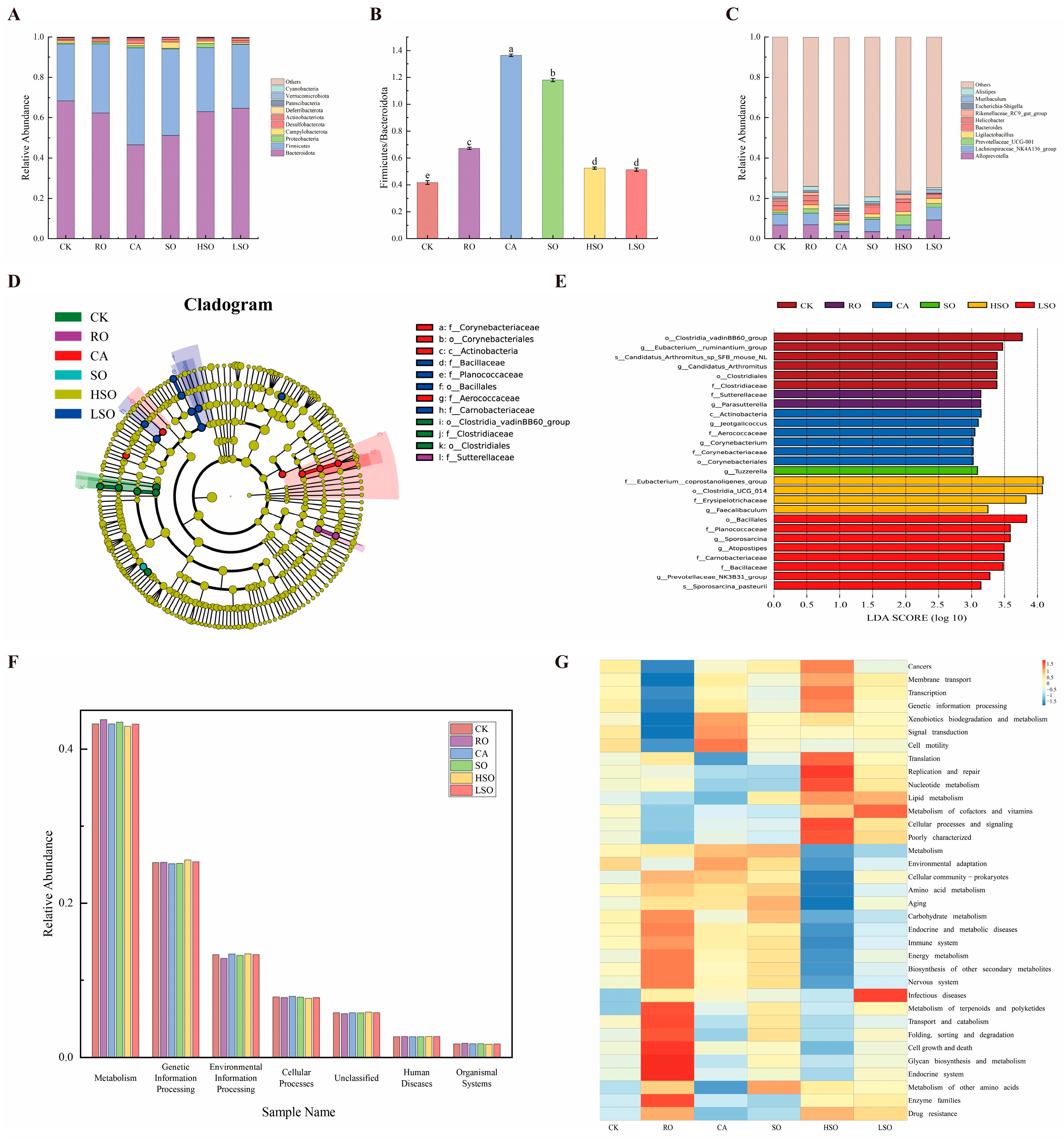 Foods 14 03641 g009 Foods 14 03641 g009