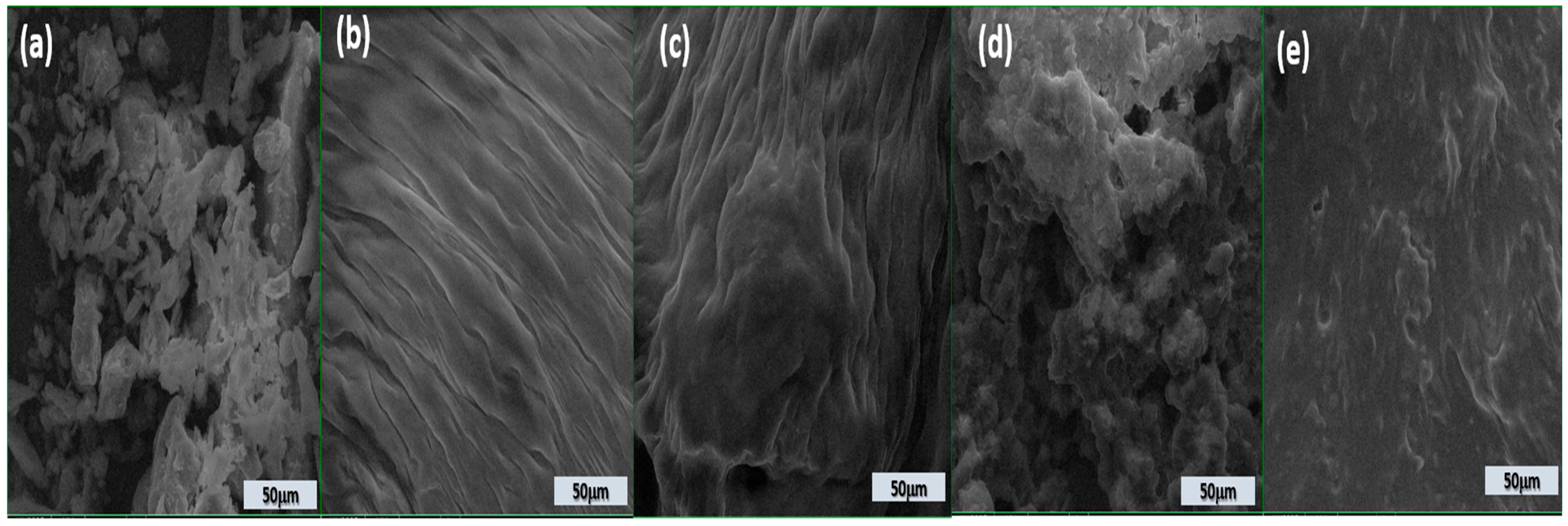 Foods 14 03650 g001 Foods 14 03650 g001