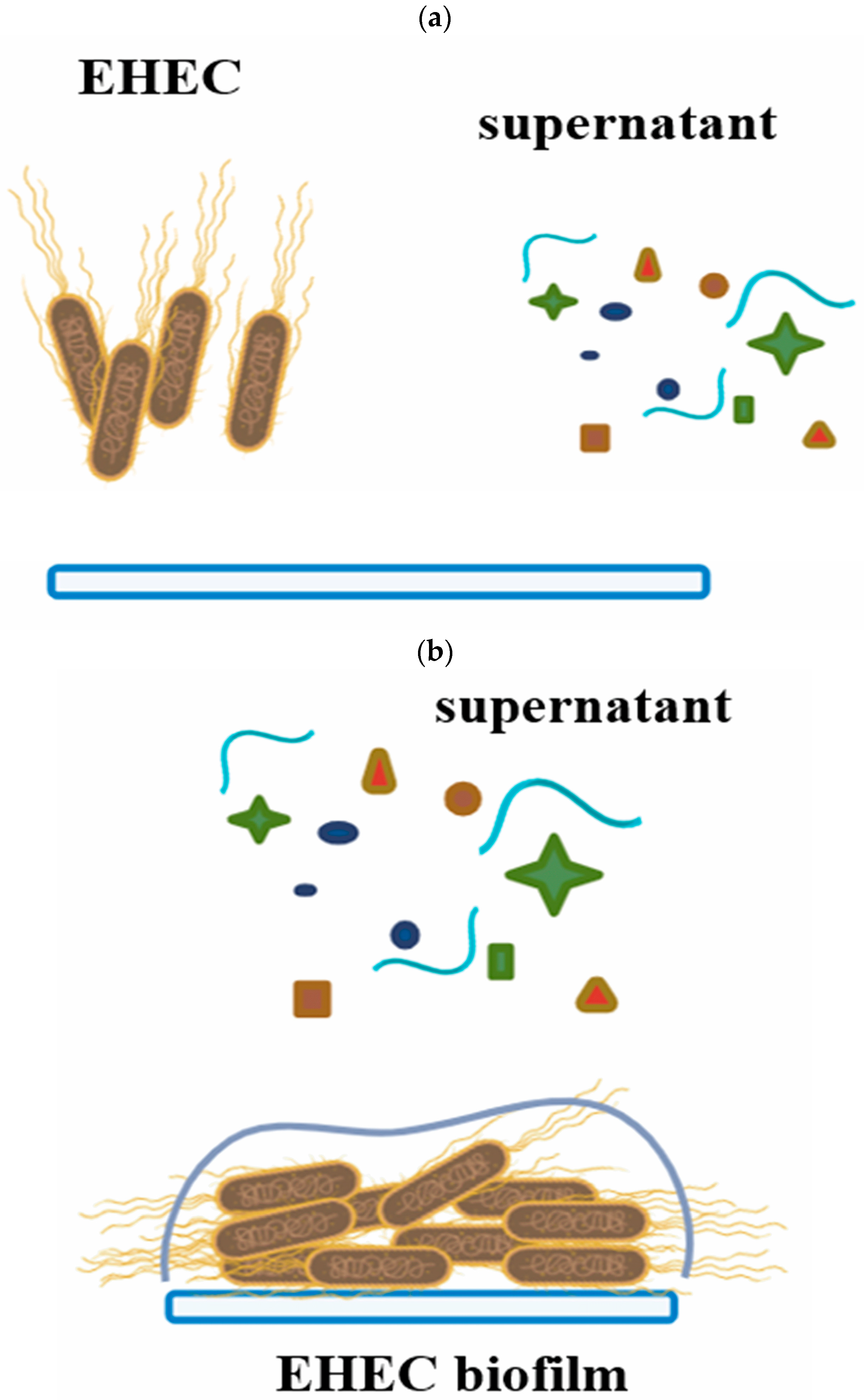 Foods 14 03670 g003 Foods 14 03670 g003