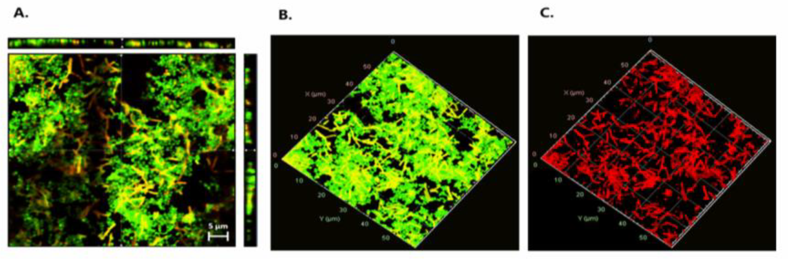 Foods 14 03670 g006 Foods 14 03670 g006