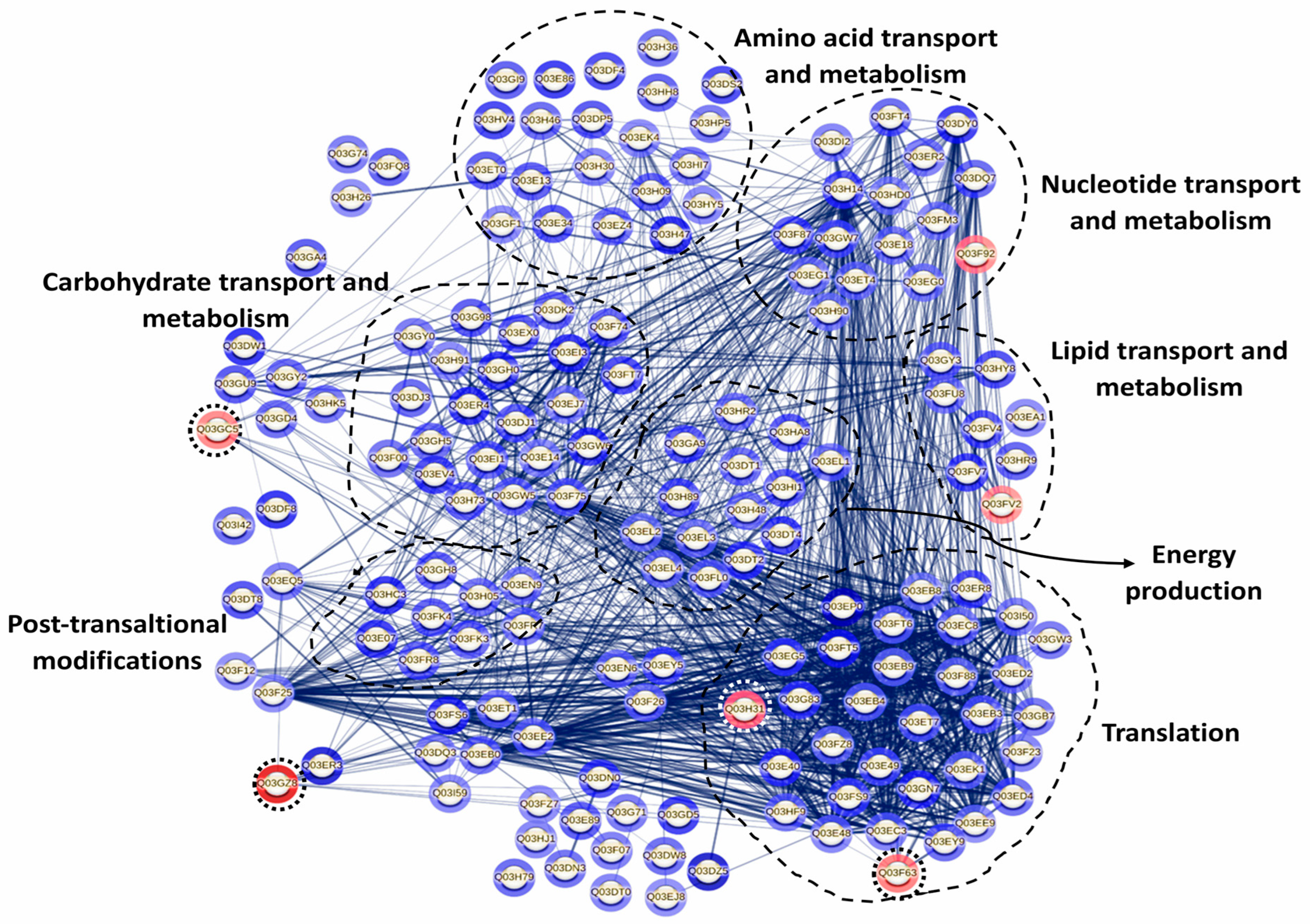 Foods 14 03670 g009 Foods 14 03670 g009