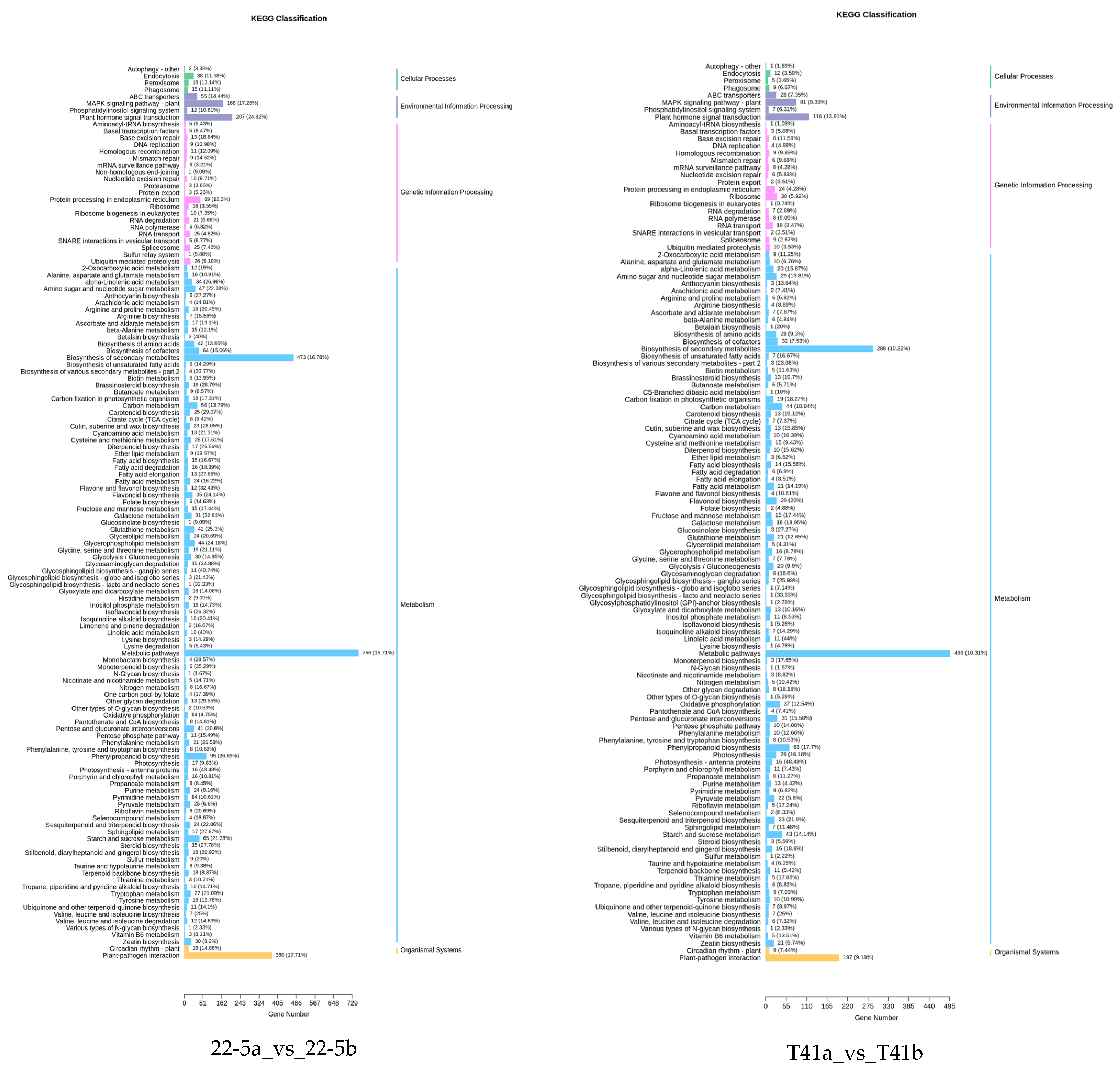 Foods 14 03675 g010a Foods 14 03675 g010a