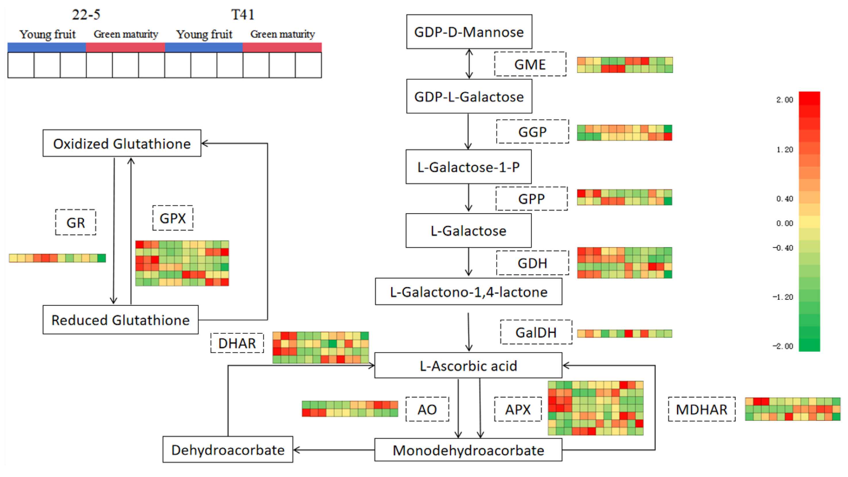 Foods 14 03675 g012 Foods 14 03675 g012