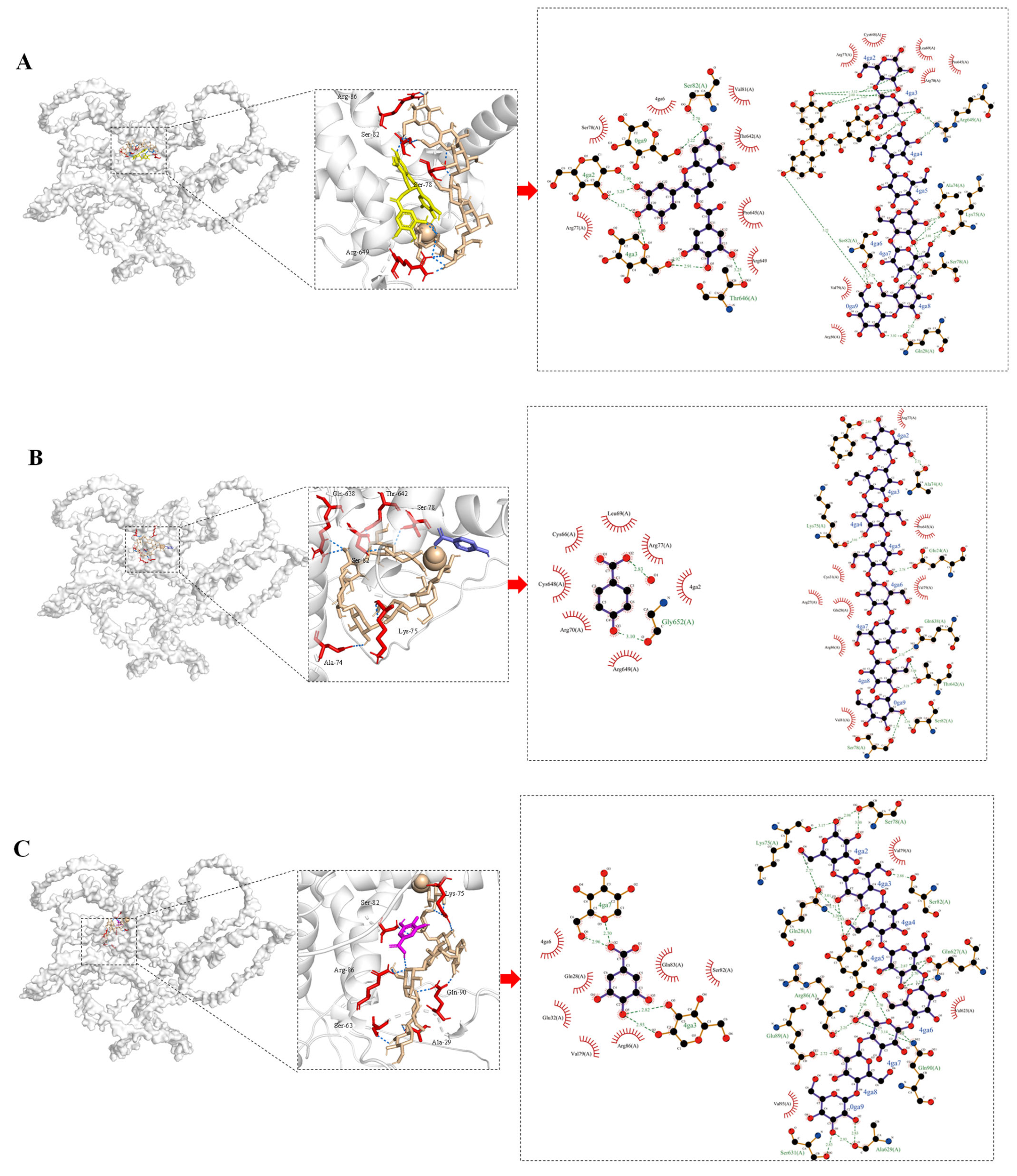 Foods 14 03679 g010a Foods 14 03679 g010a