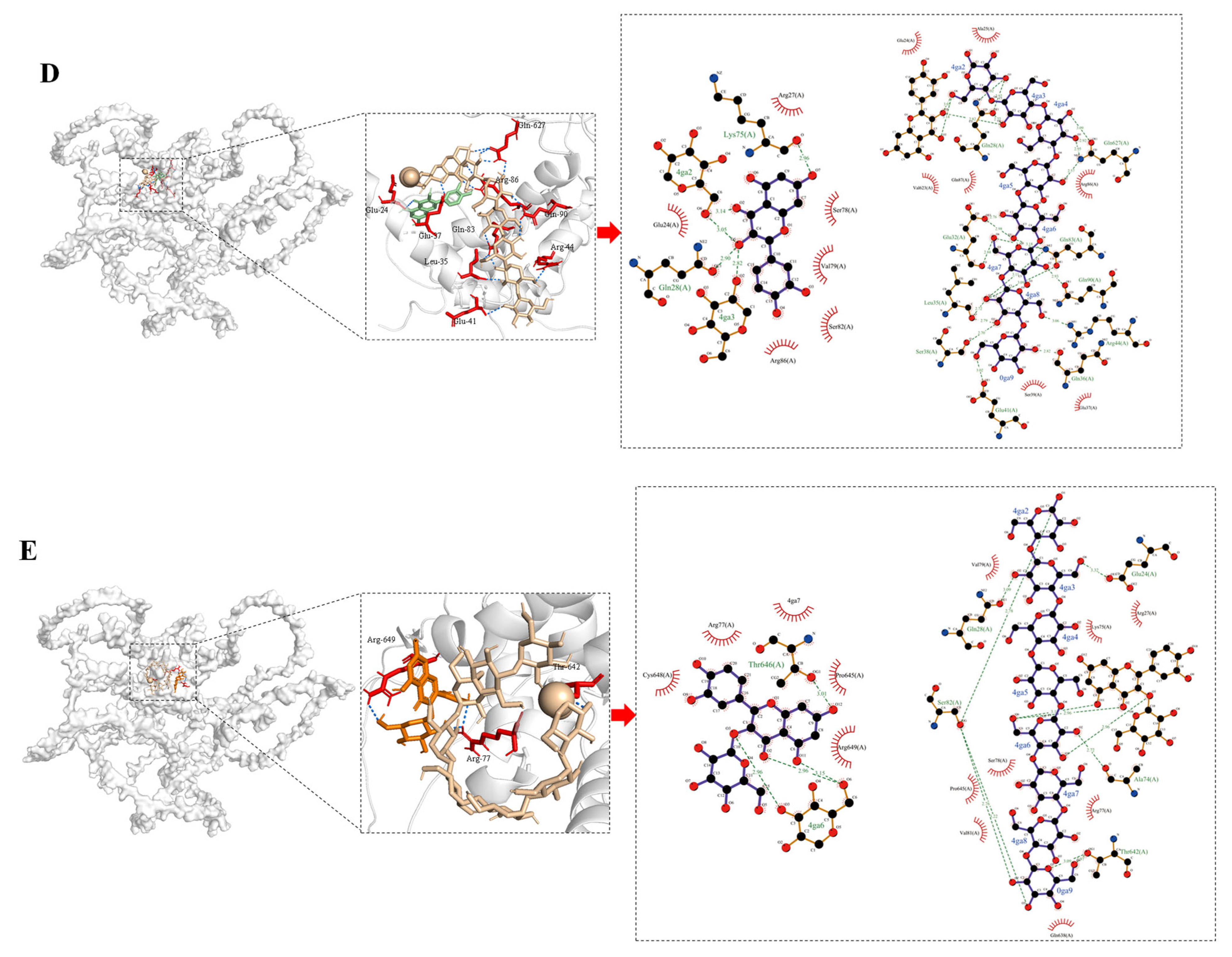 Foods 14 03679 g010b Foods 14 03679 g010b