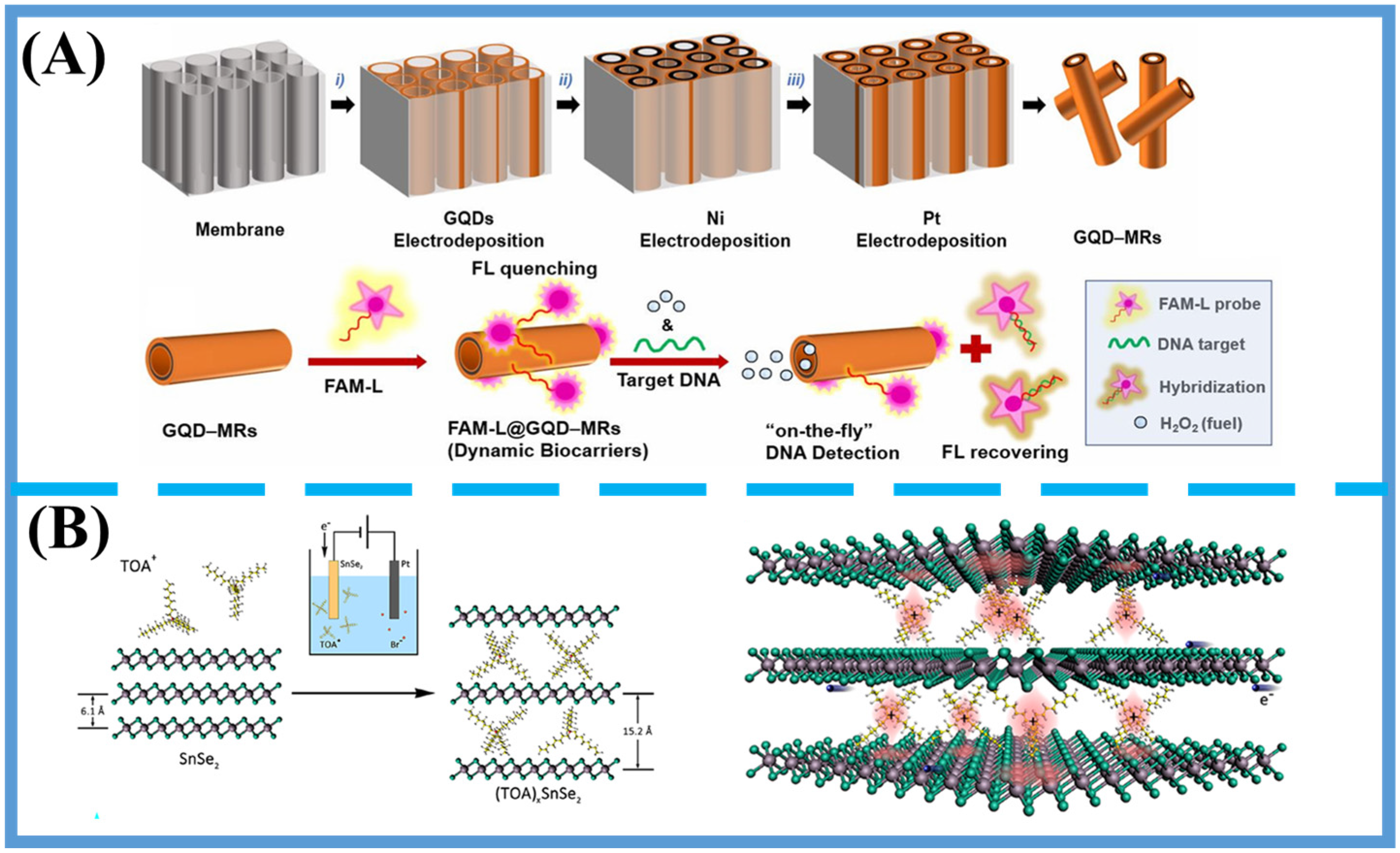 Foods 14 03683 g003 Foods 14 03683 g003