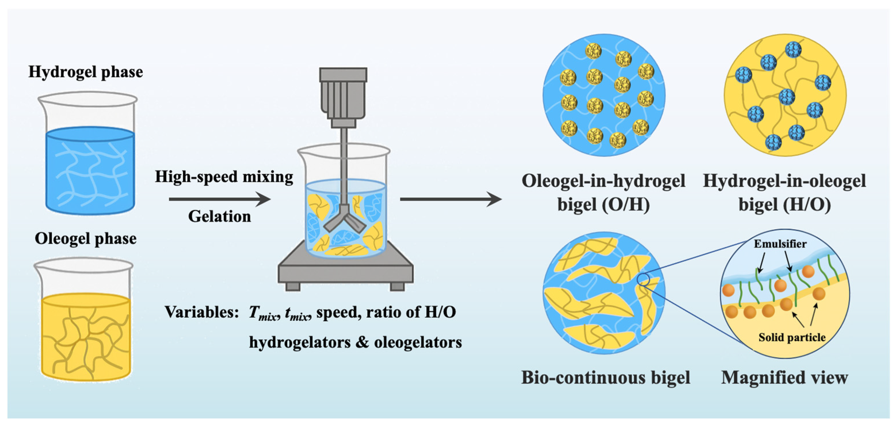 Foods 14 03699 g001 Foods 14 03699 g001