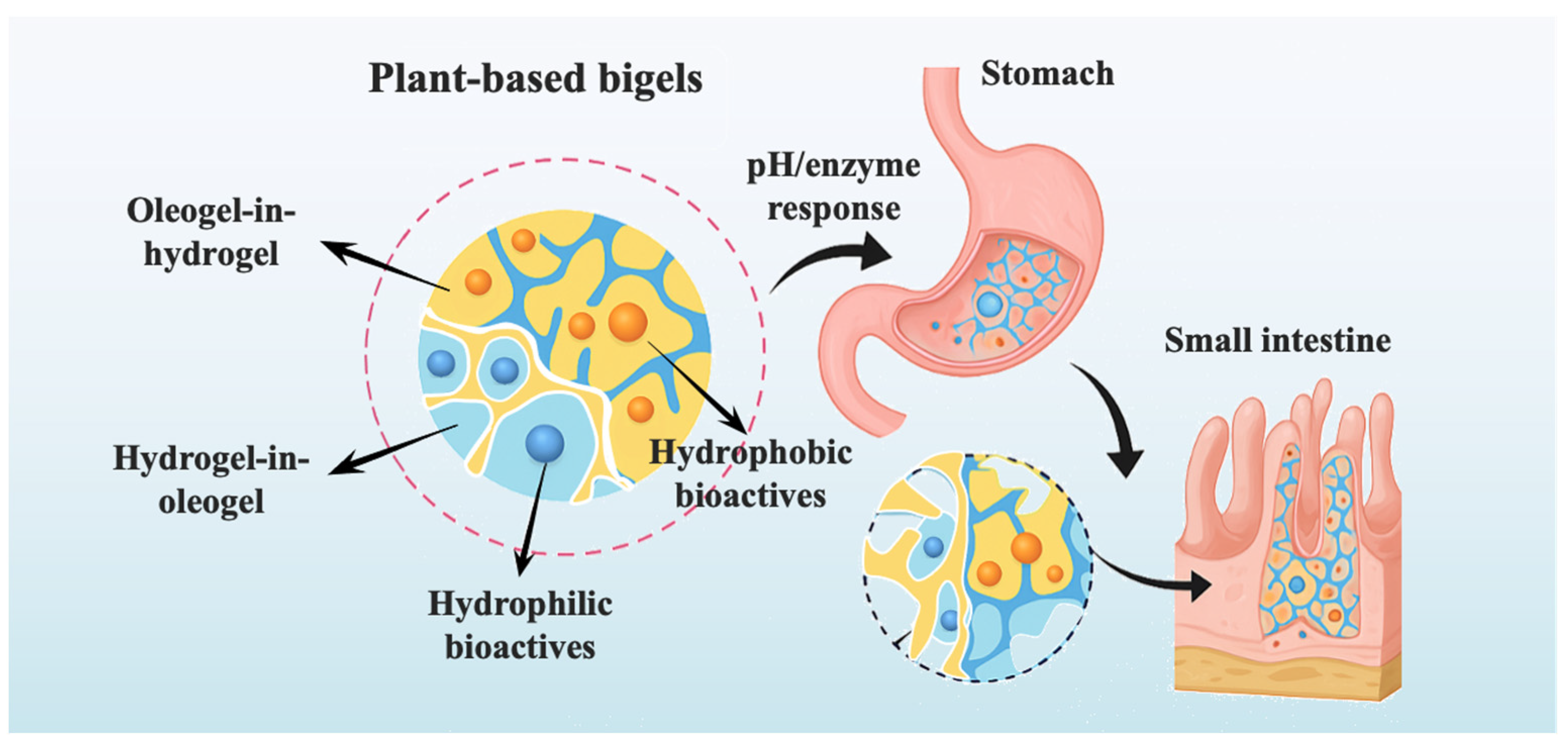 Foods 14 03699 g003 Foods 14 03699 g003