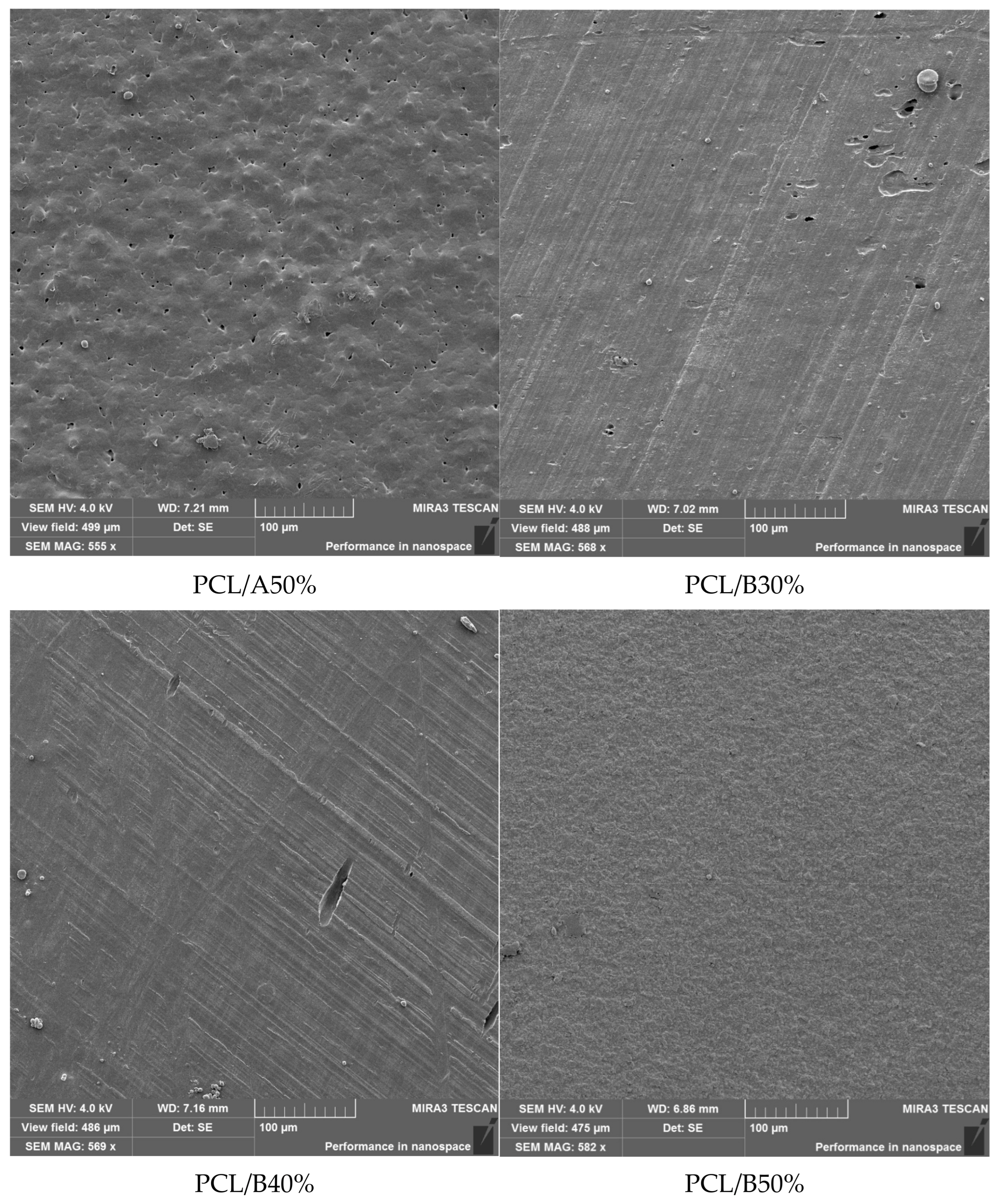 Foods 14 03730 g001b Foods 14 03730 g001b