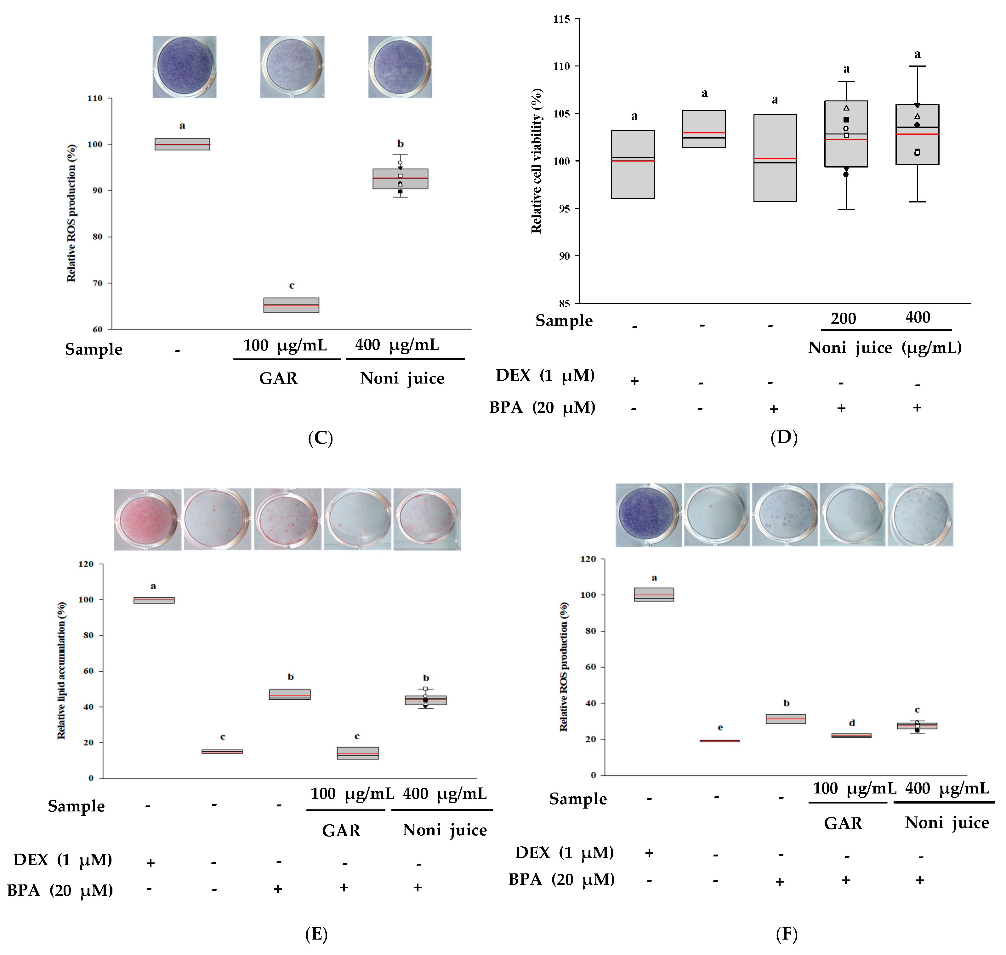 Foods 14 03732 g002b
