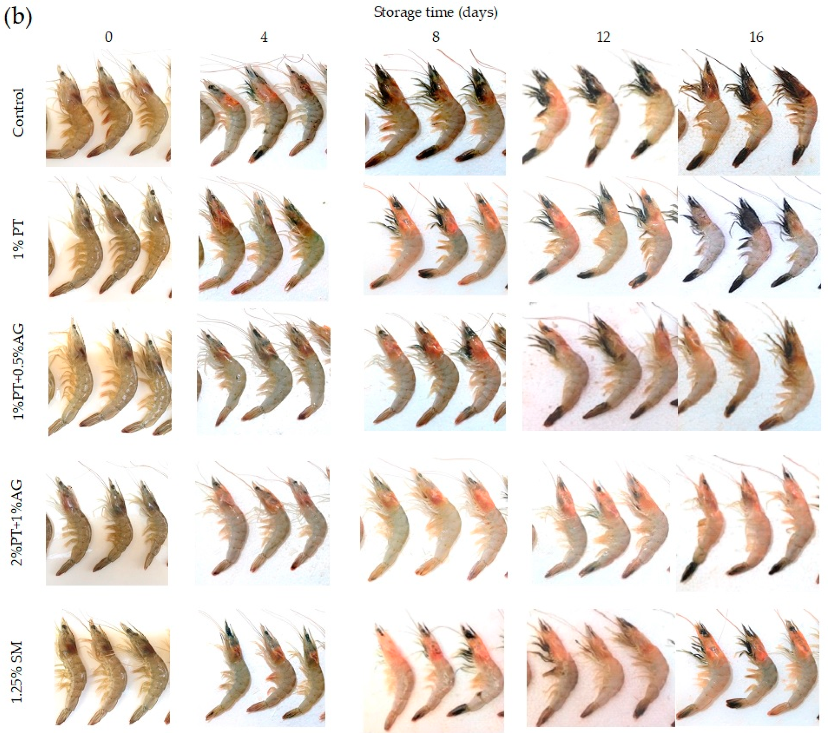 Foods 14 03736 g002b