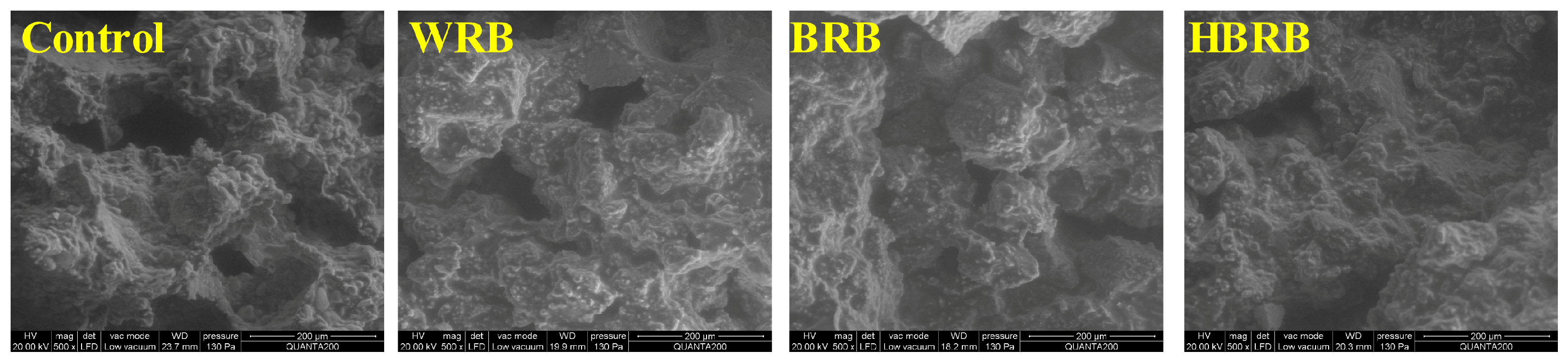 Foods 14 03763 g002 Foods 14 03763 g002