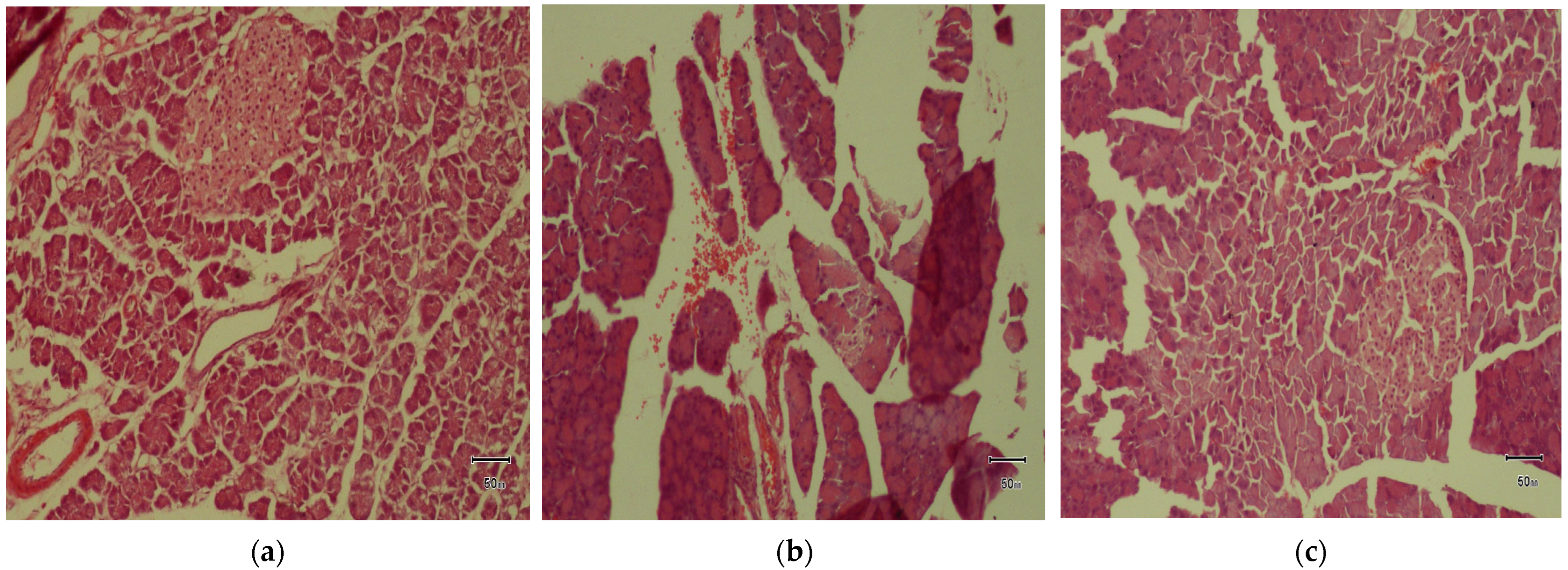 Foods 14 03764 g005a Foods 14 03764 g005a