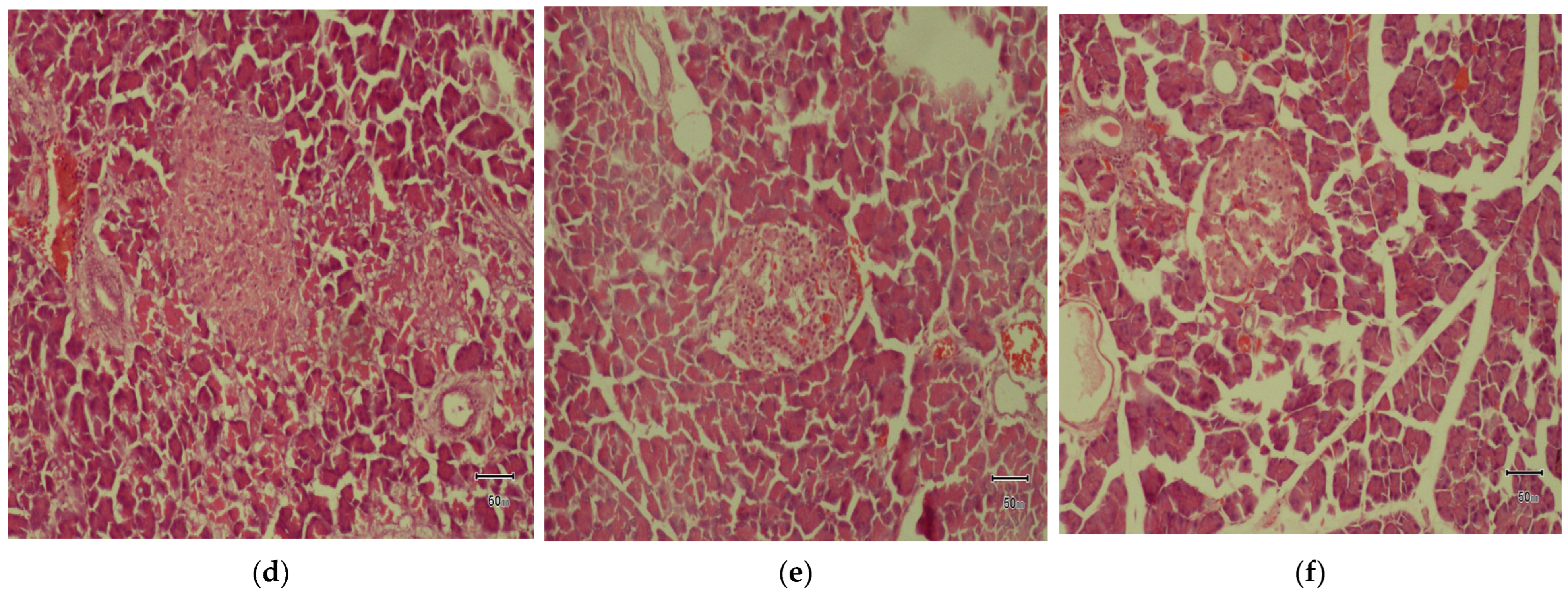 Foods 14 03764 g005b Foods 14 03764 g005b