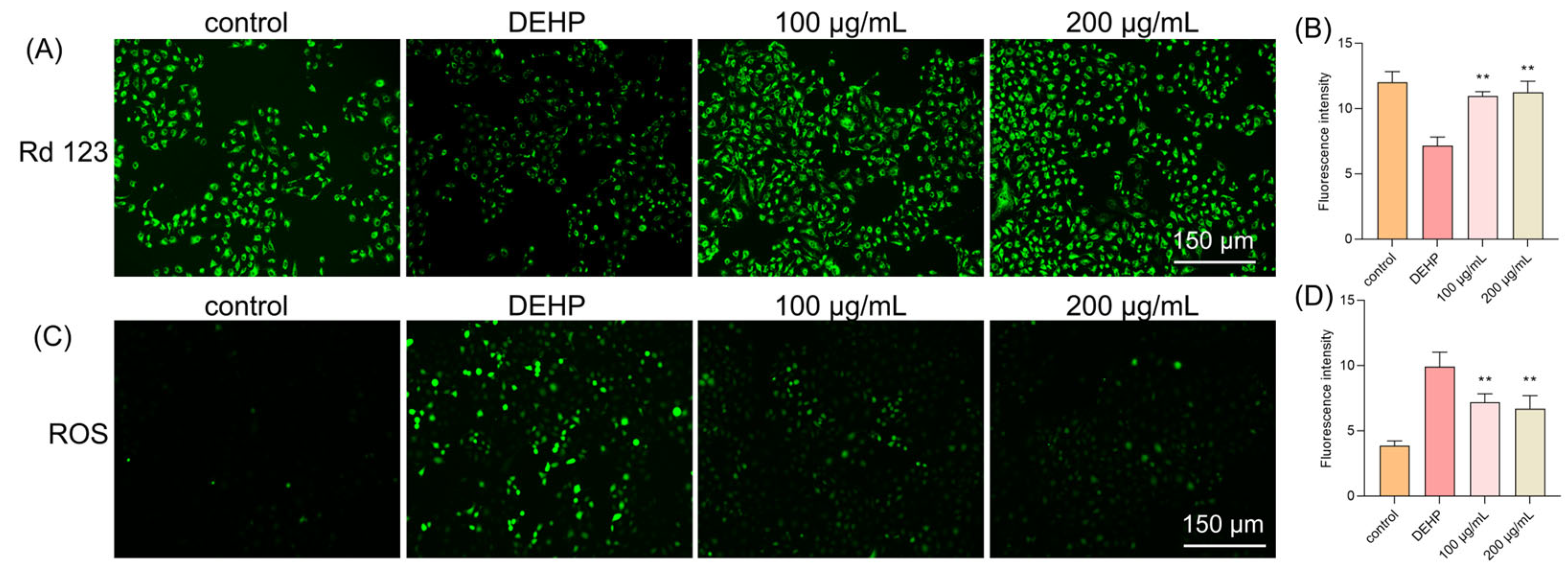 Foods 14 03765 g002 Foods 14 03765 g002
