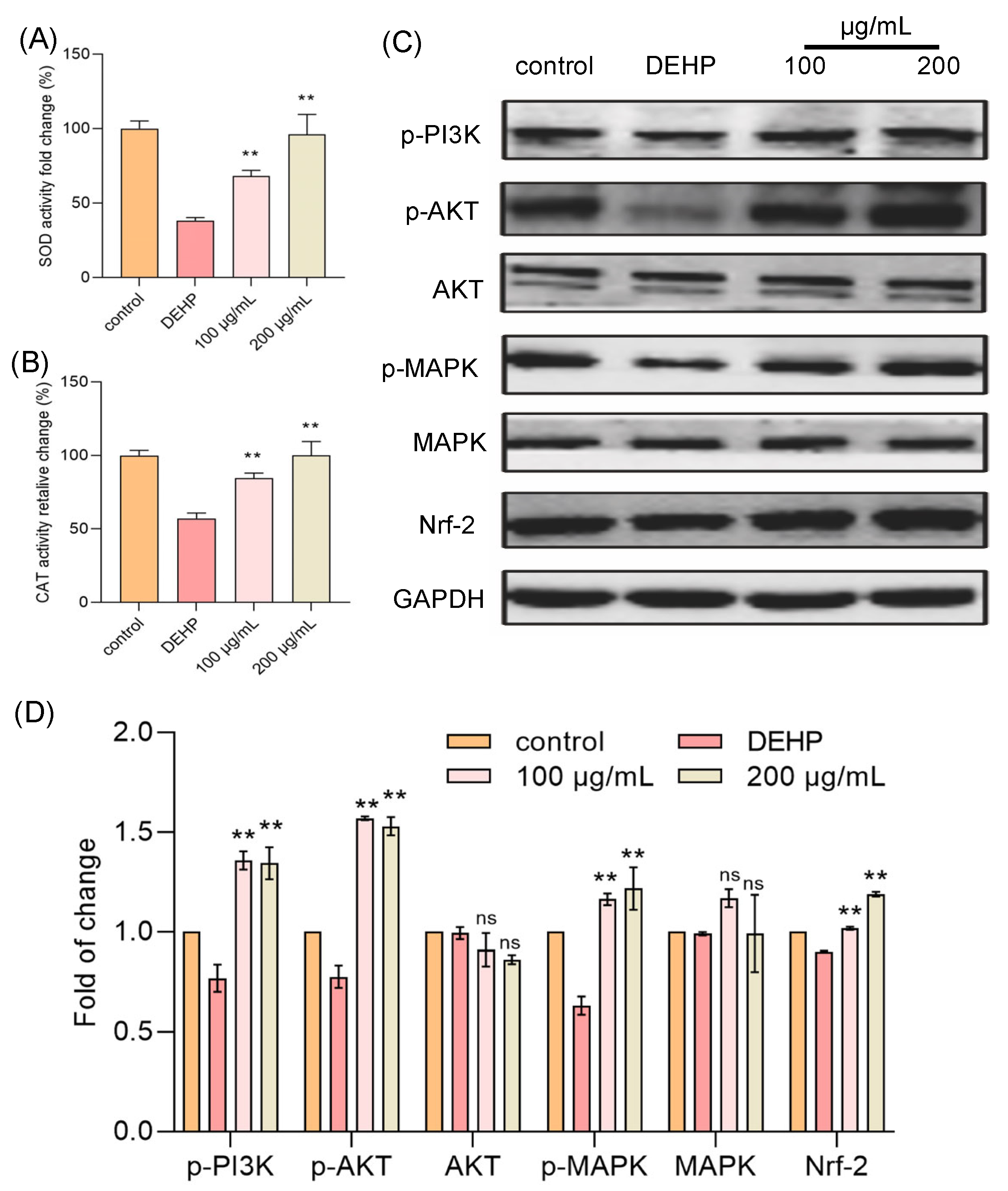 Foods 14 03765 g003 Foods 14 03765 g003