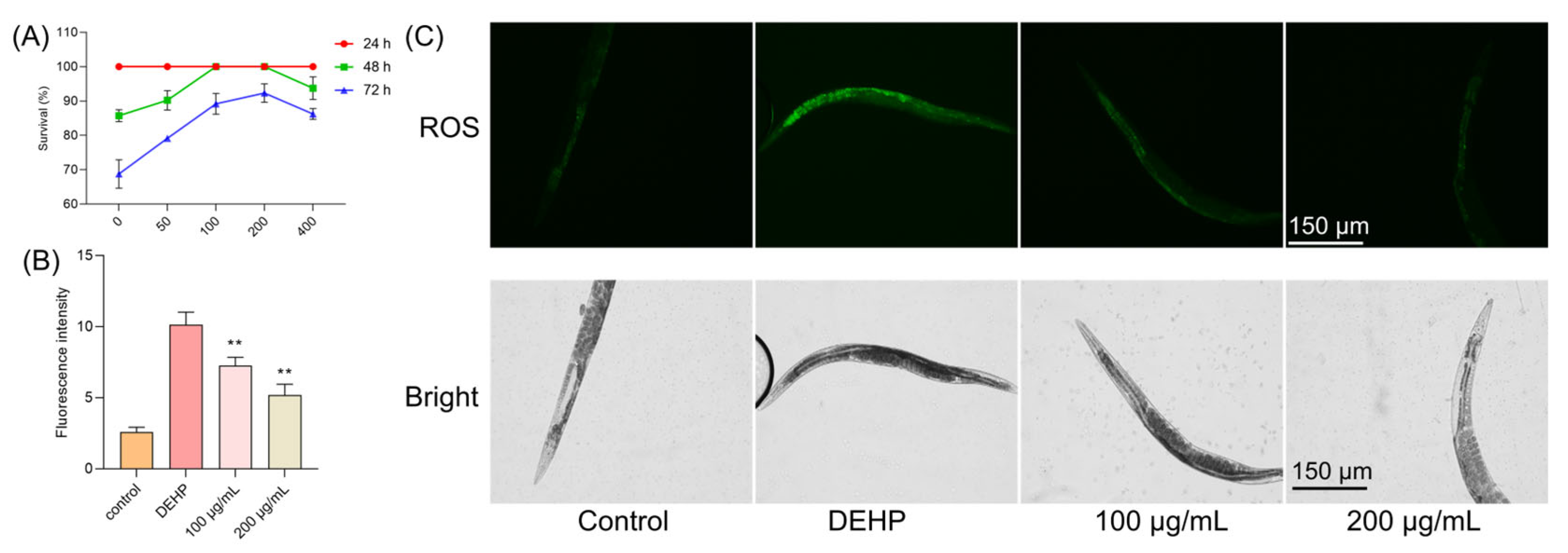 Foods 14 03765 g004 Foods 14 03765 g004