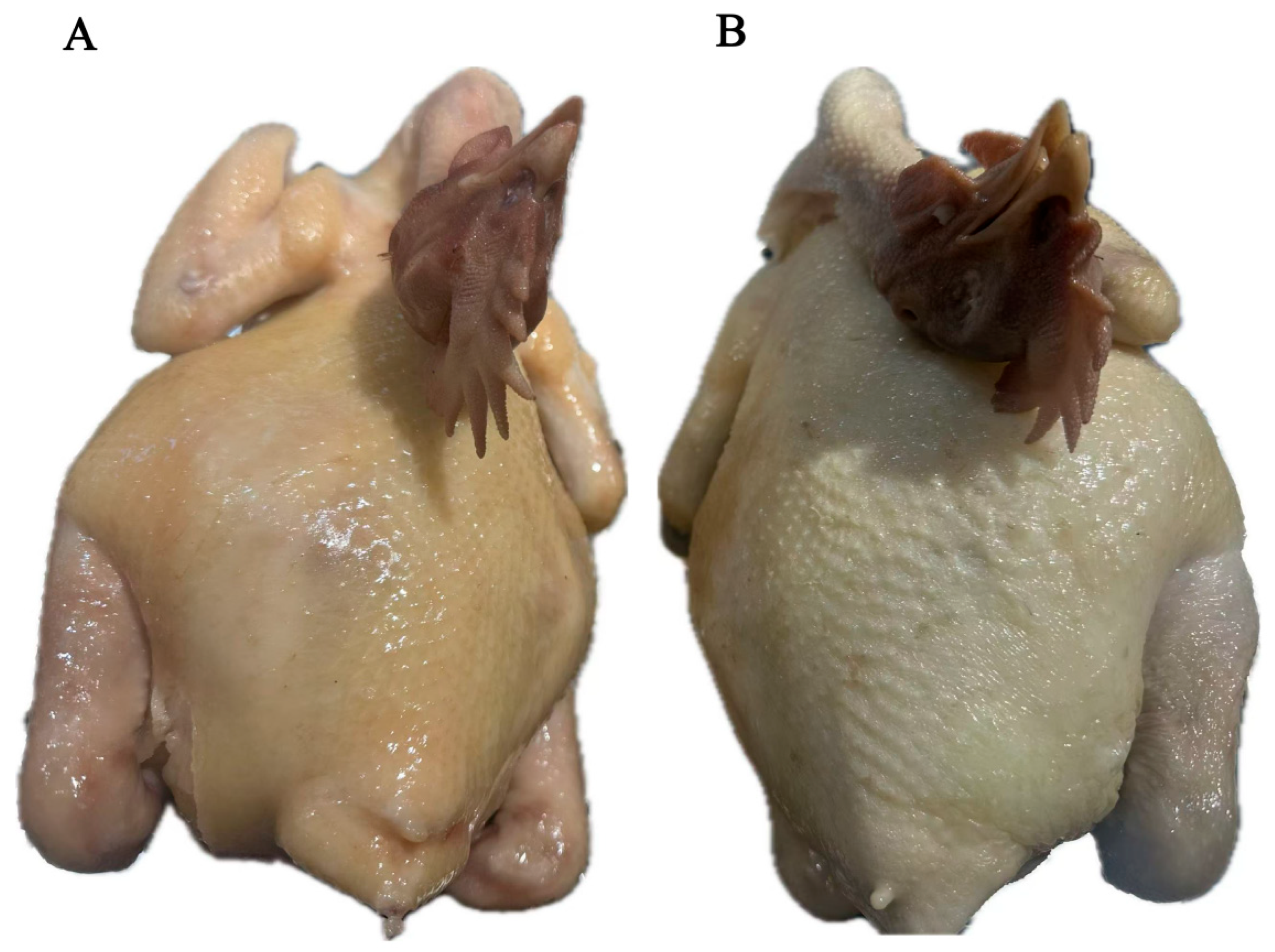 Foods 14 03778 g001 Foods 14 03778 g001