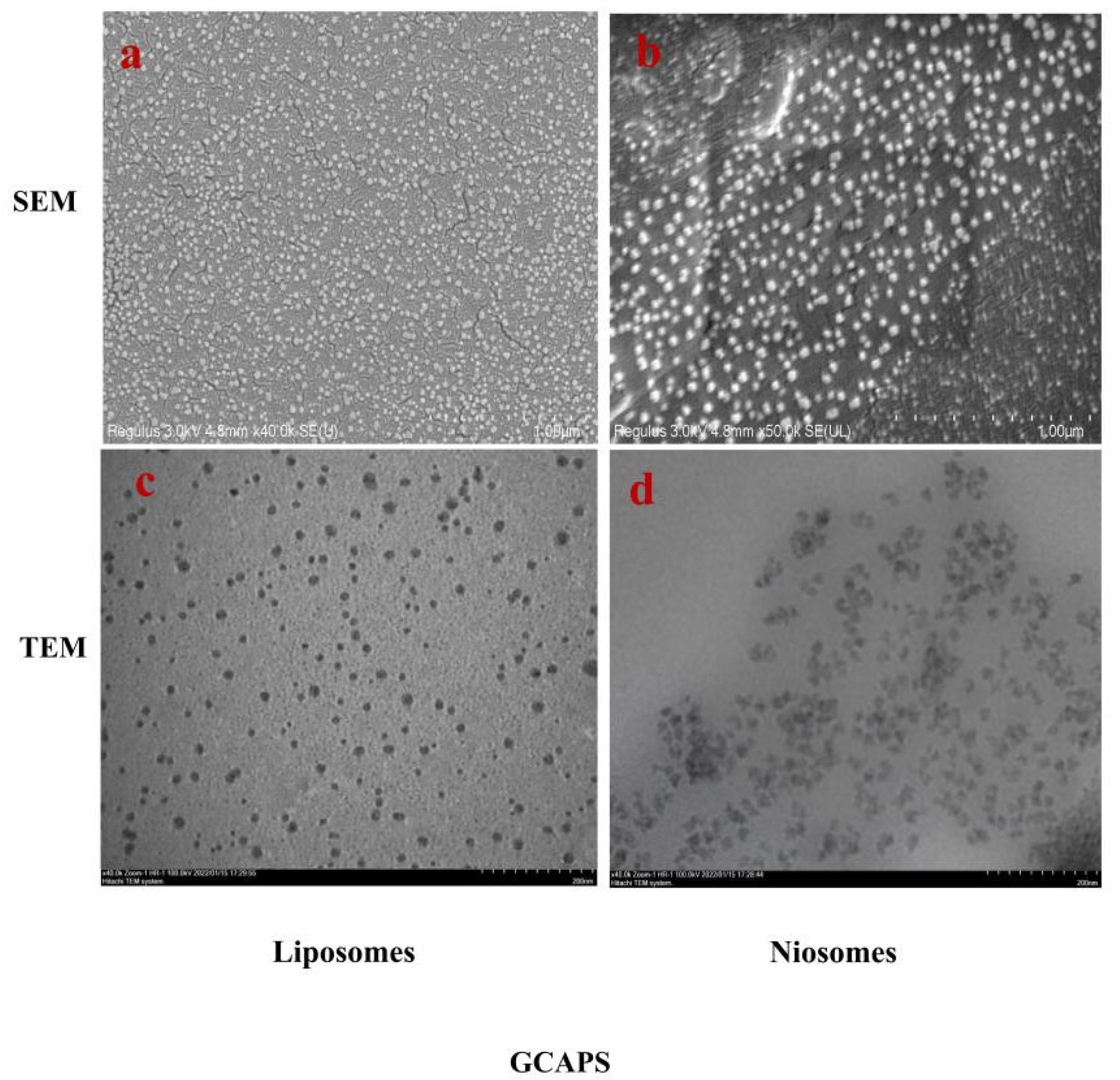 Foods 14 03795 g001 Foods 14 03795 g001
