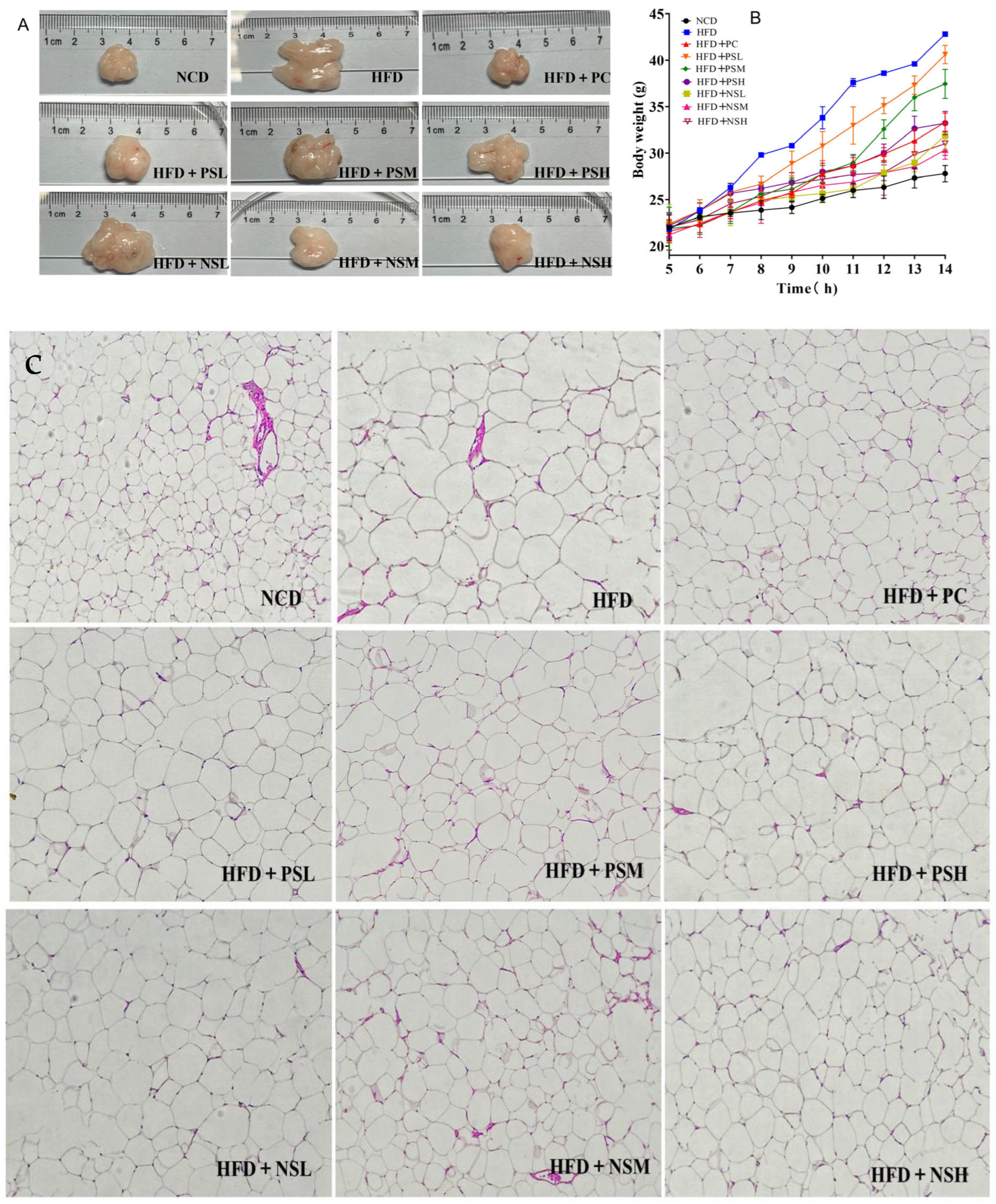 Foods 14 03795 g004 Foods 14 03795 g004